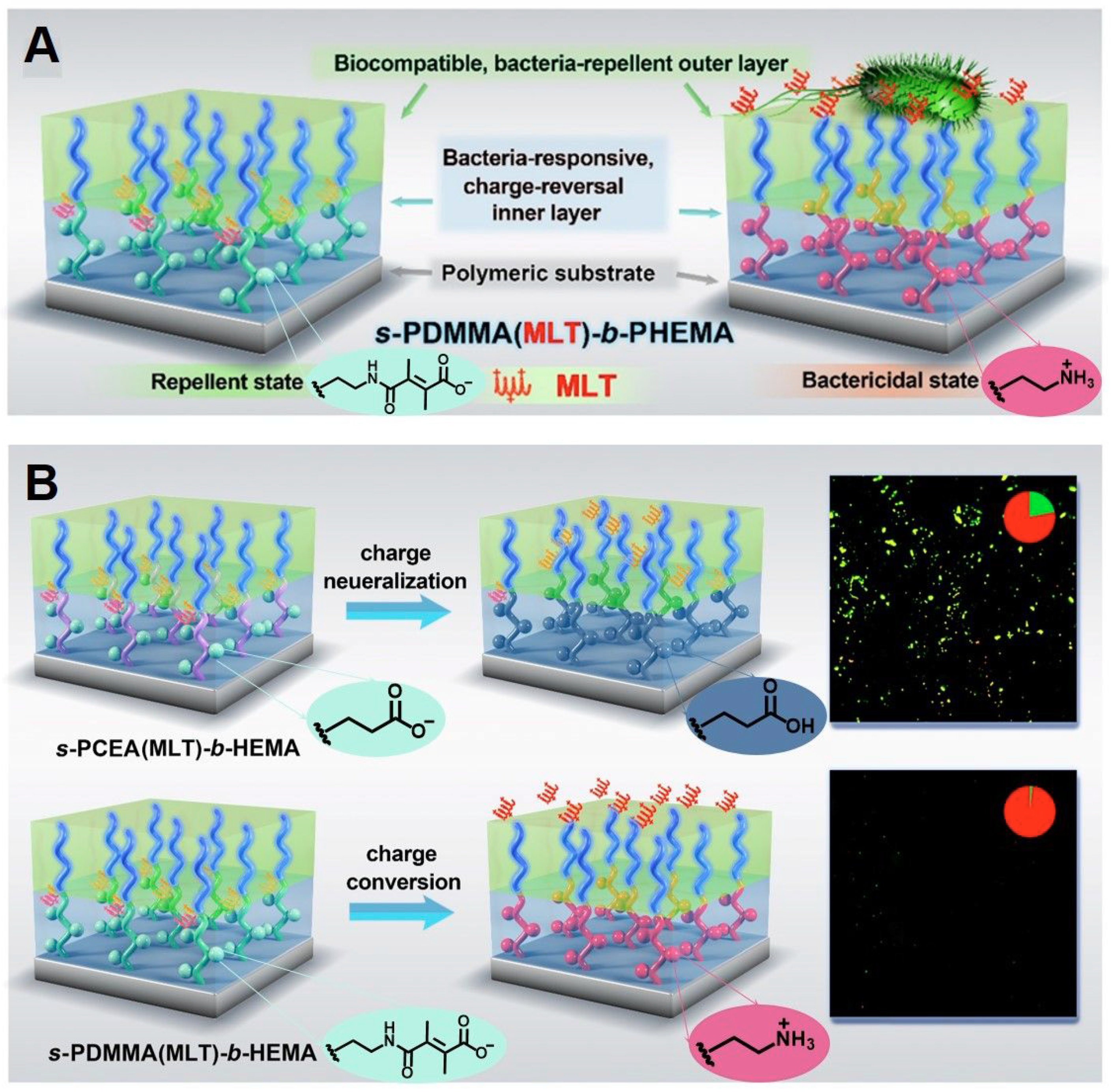Coatings 14 00597 g012