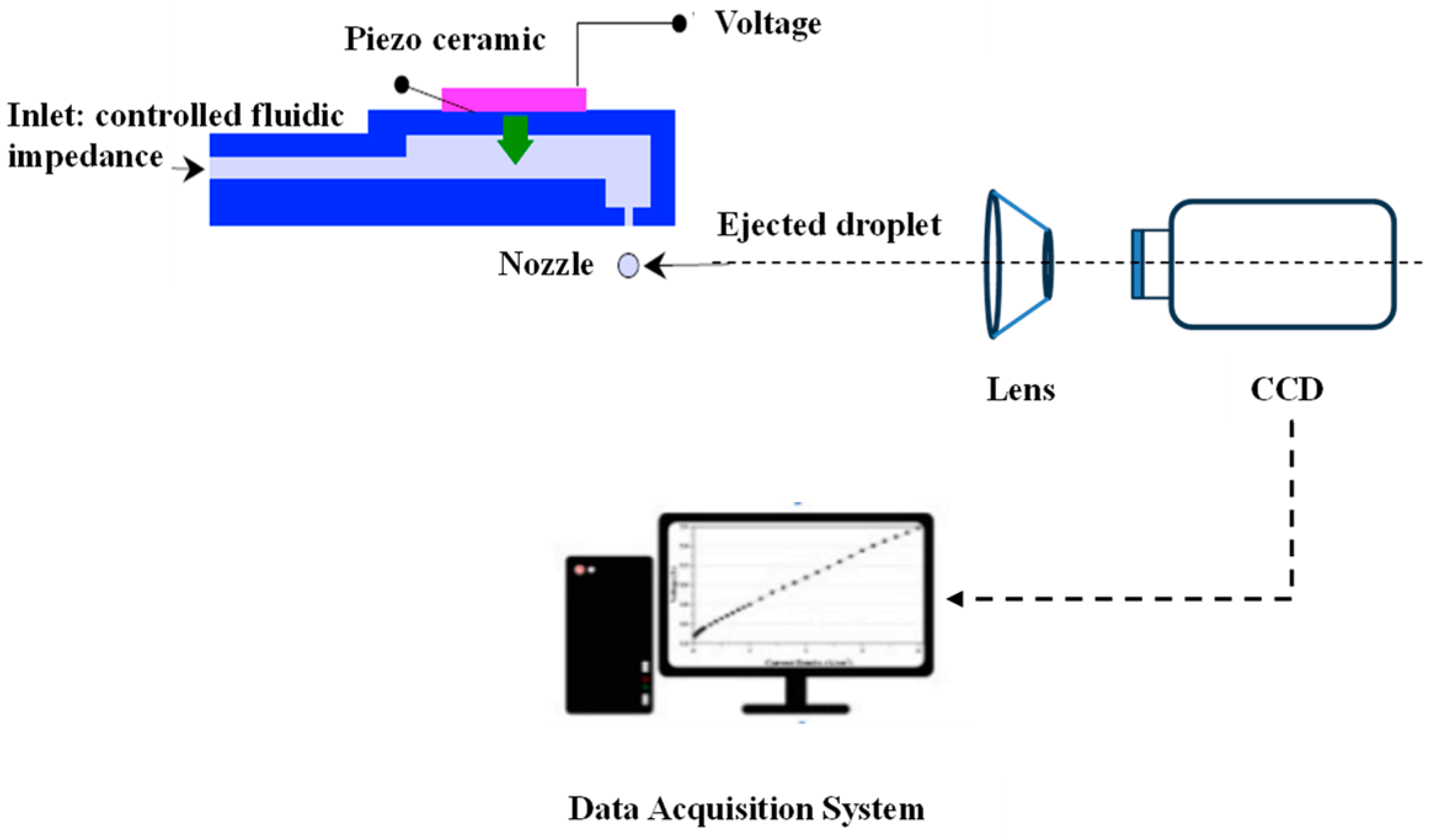 Coatings 14 00600 g001
