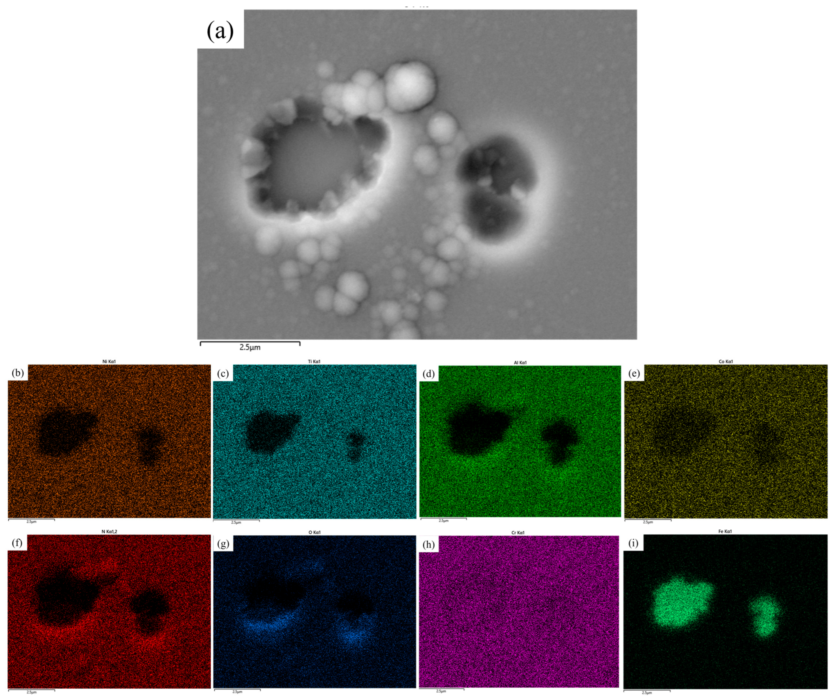 Coatings 14 00603 g010