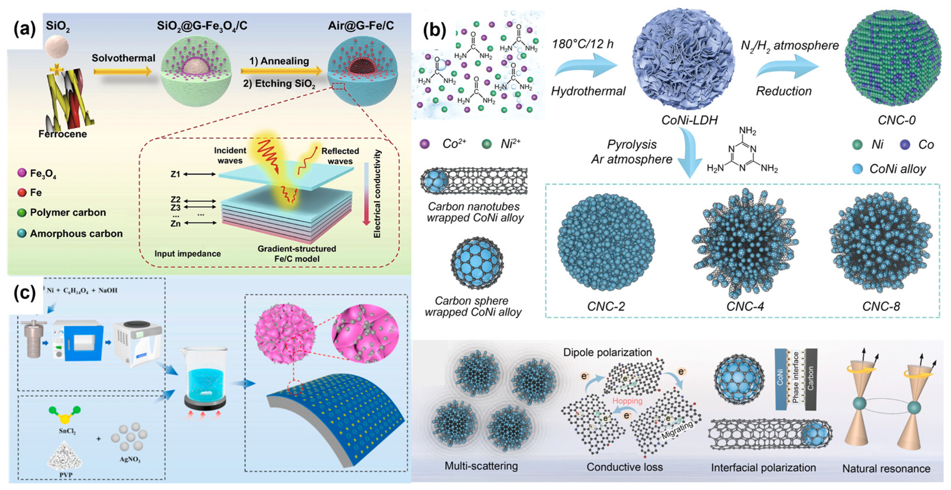 Coatings 14 00607 g005