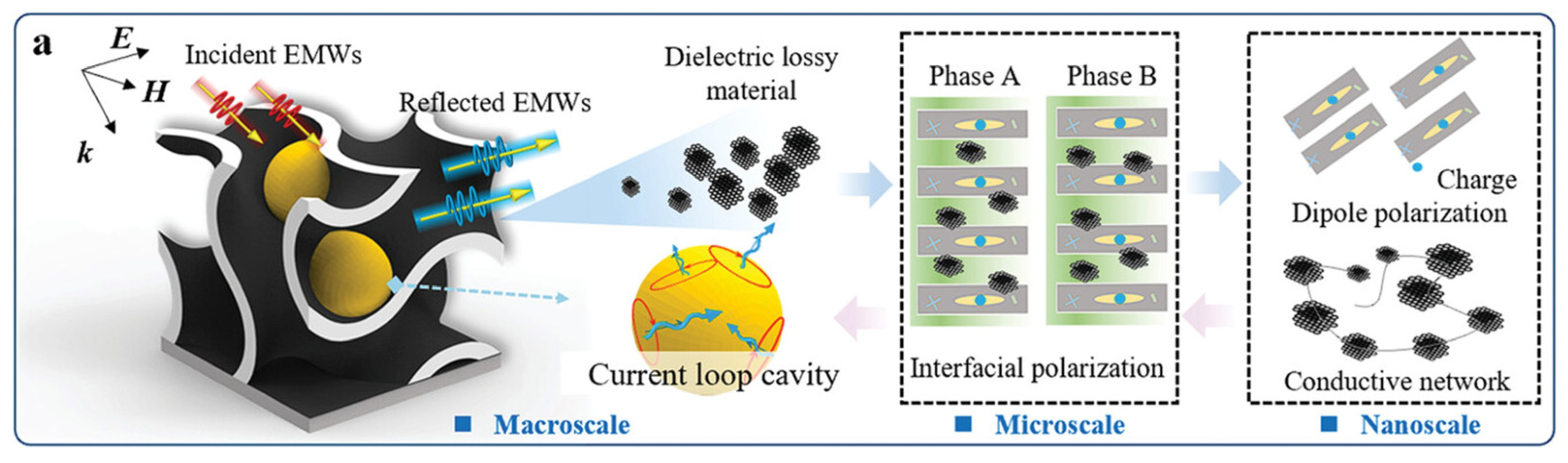 Coatings 14 00607 g013