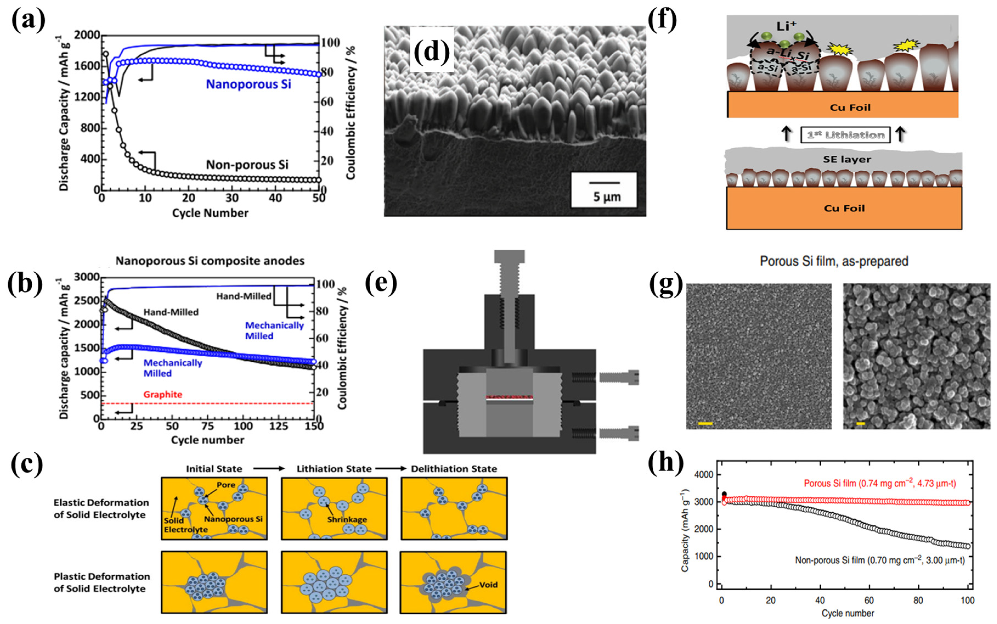 Coatings 14 00608 g004