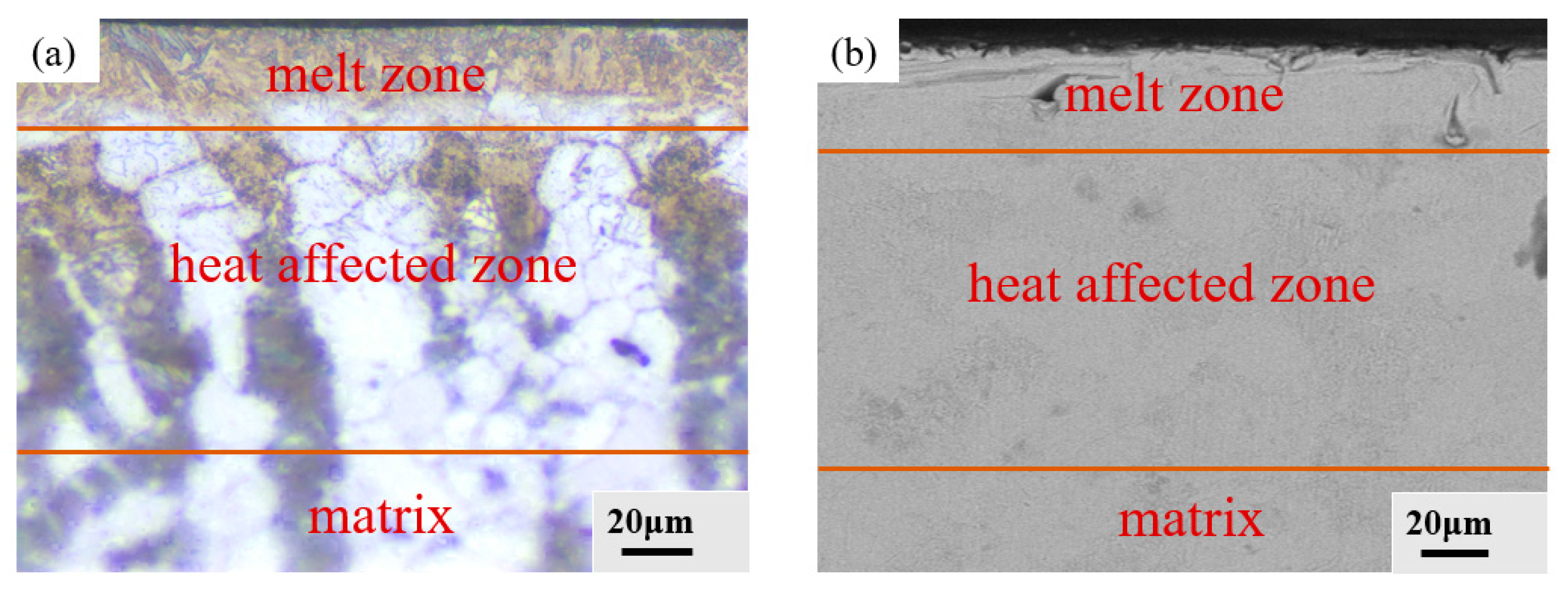 Coatings 14 00611 g007