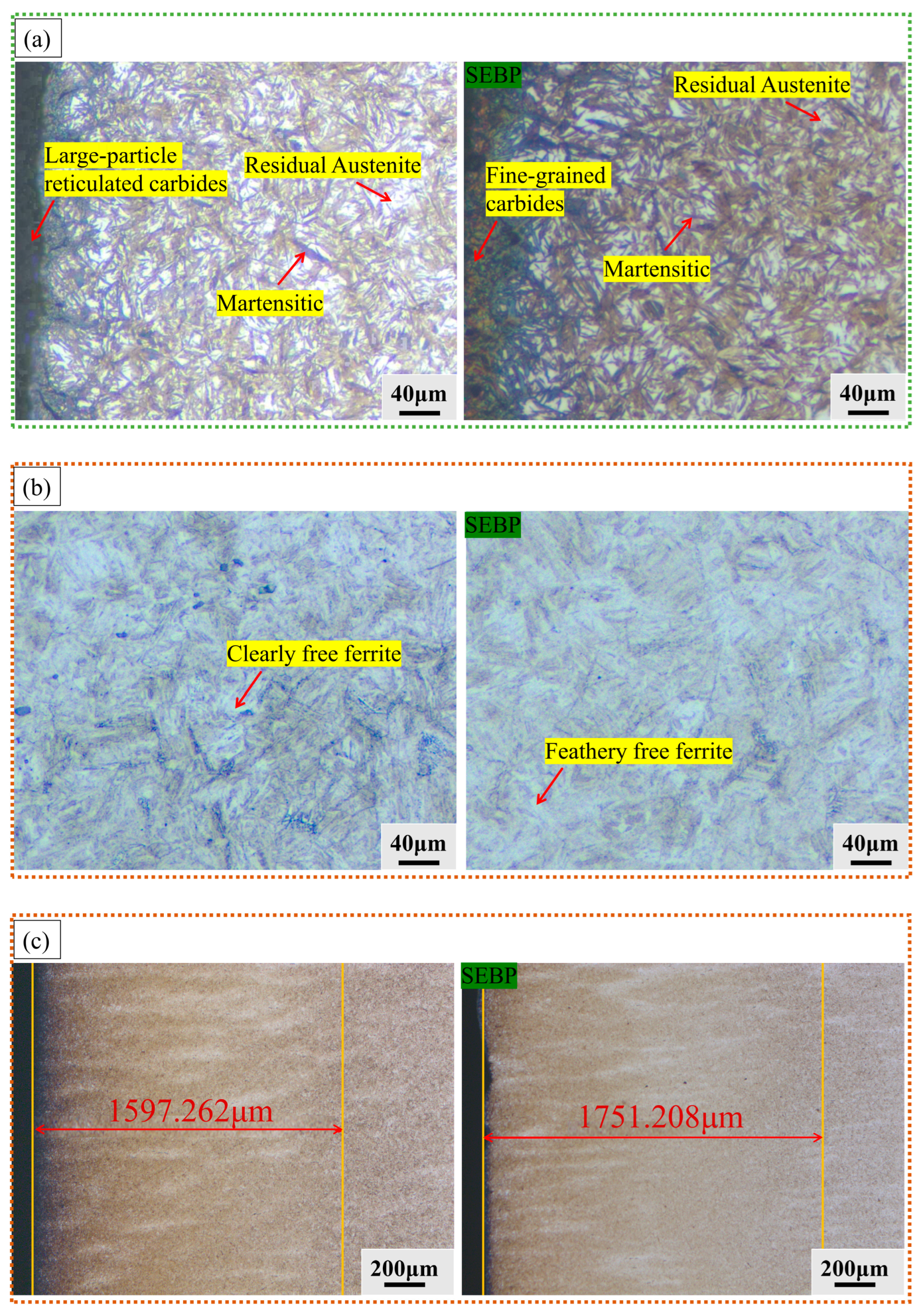 Coatings 14 00611 g010