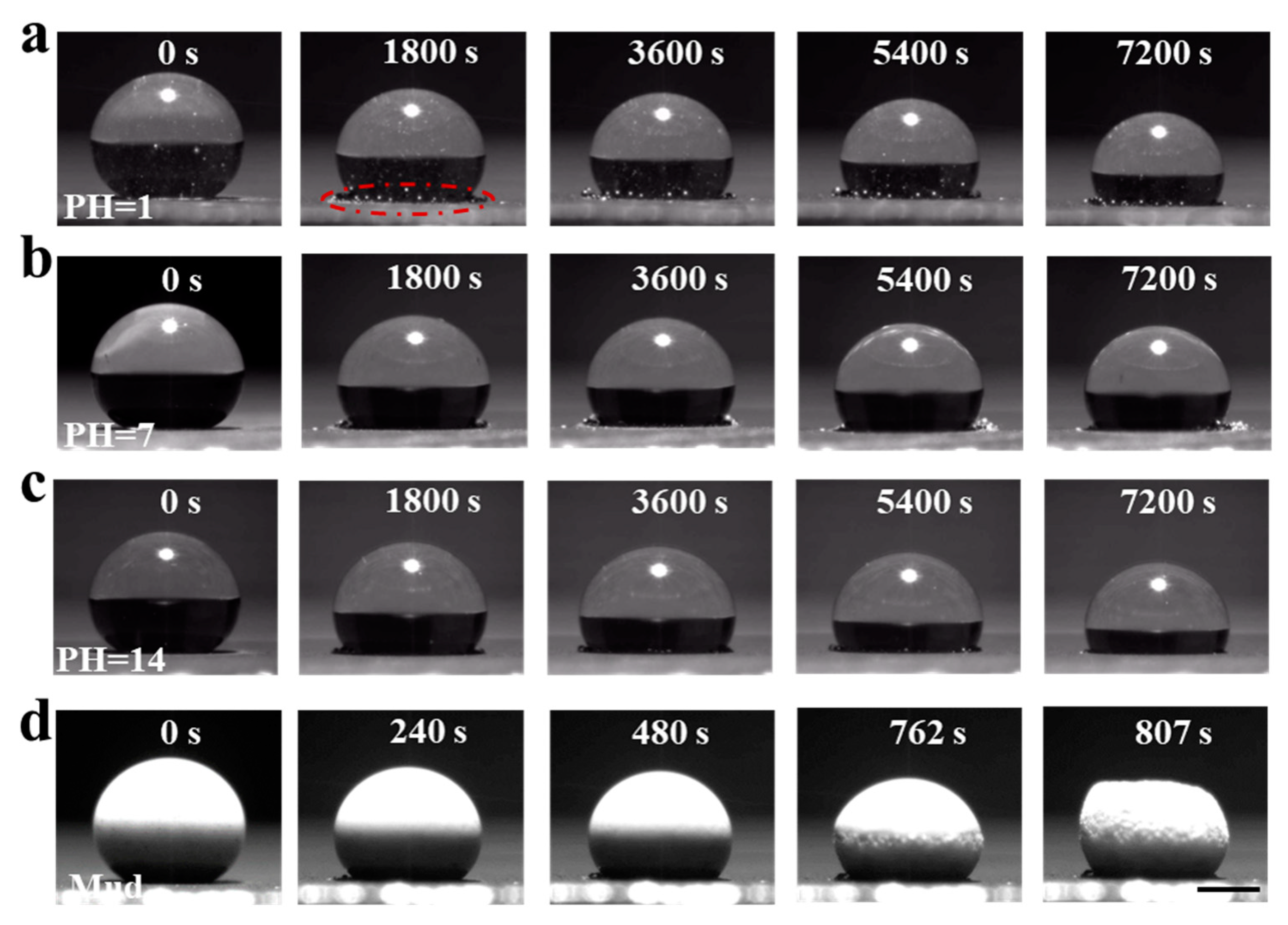 Coatings 14 00612 g005