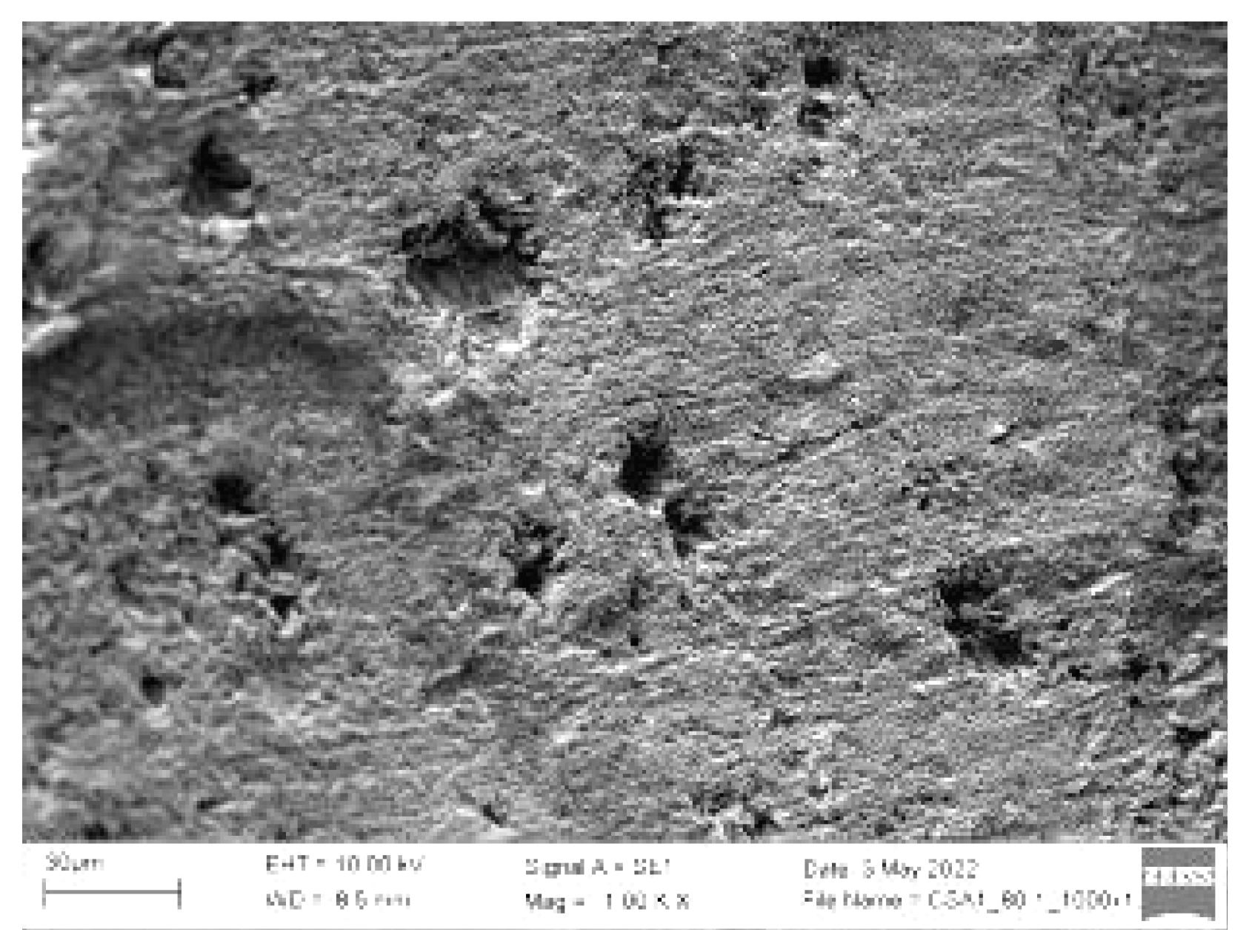 Coatings 14 00617 g003