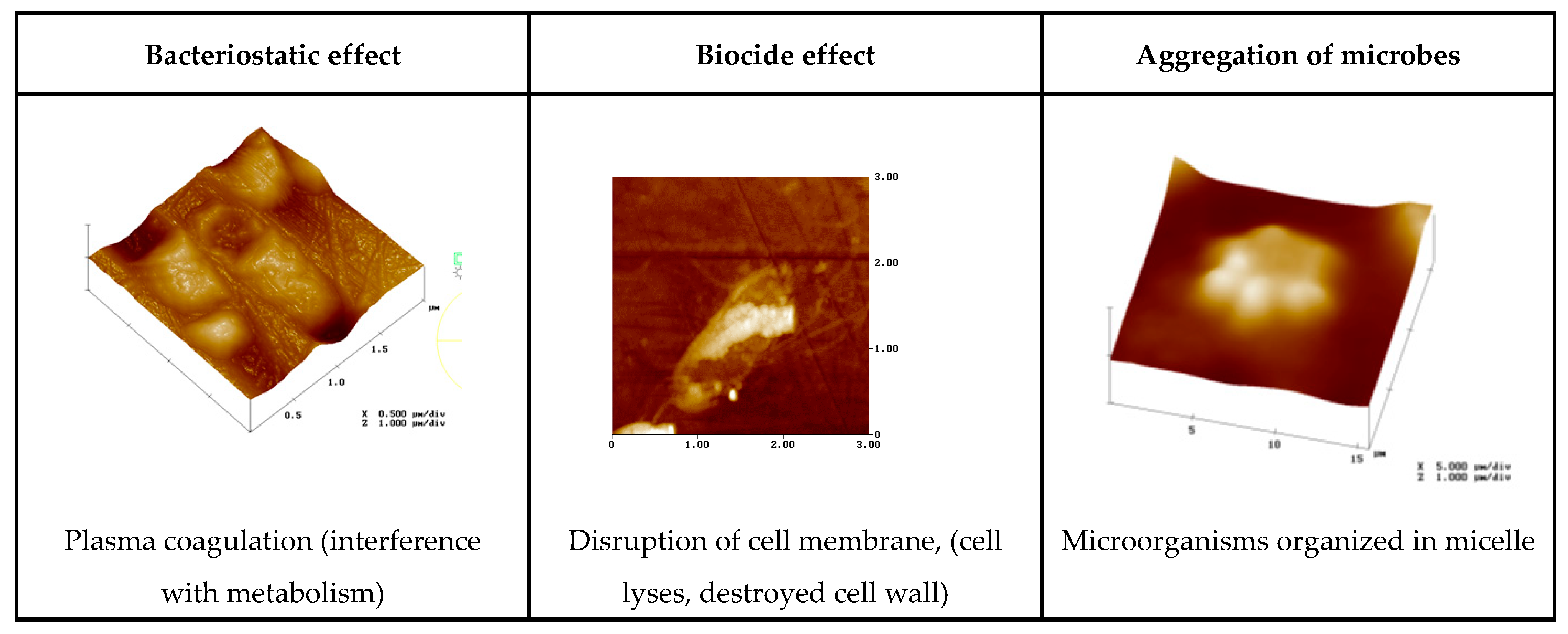 Coatings 14 00617 g007