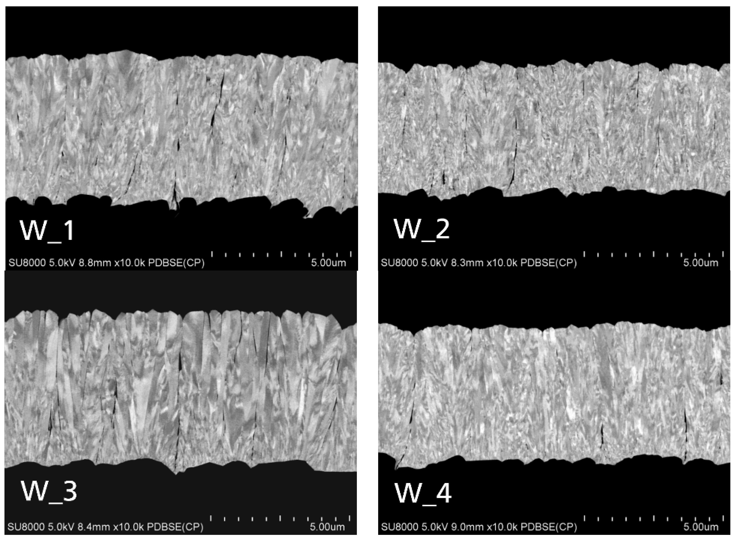 Coatings 14 00622 g002