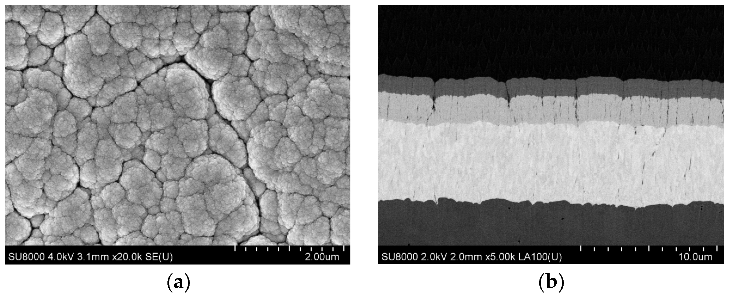Coatings 14 00622 g012