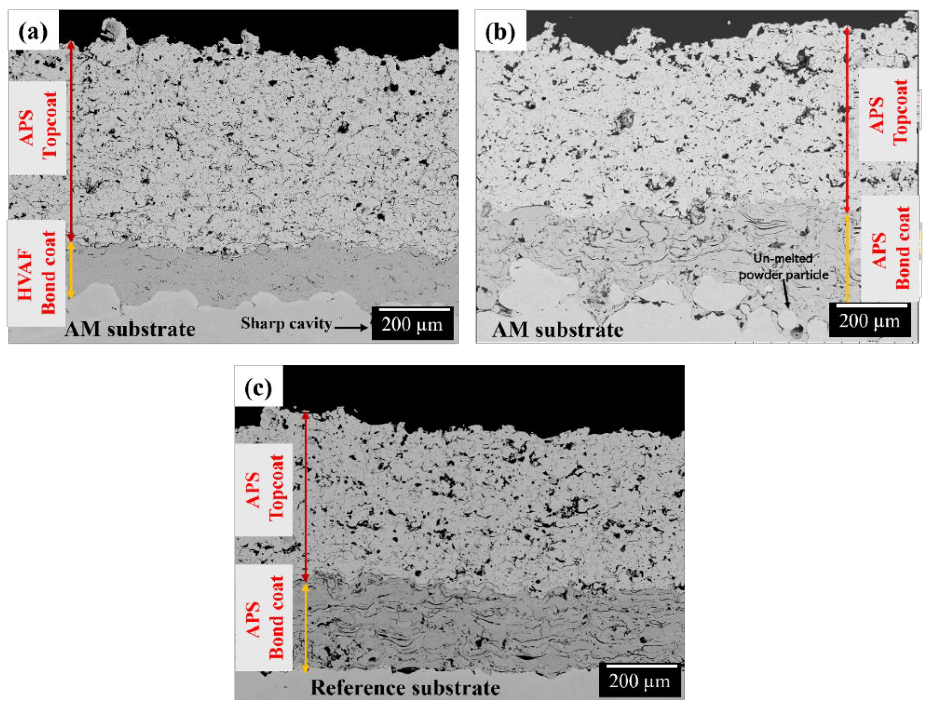 Coatings 14 00626 g007