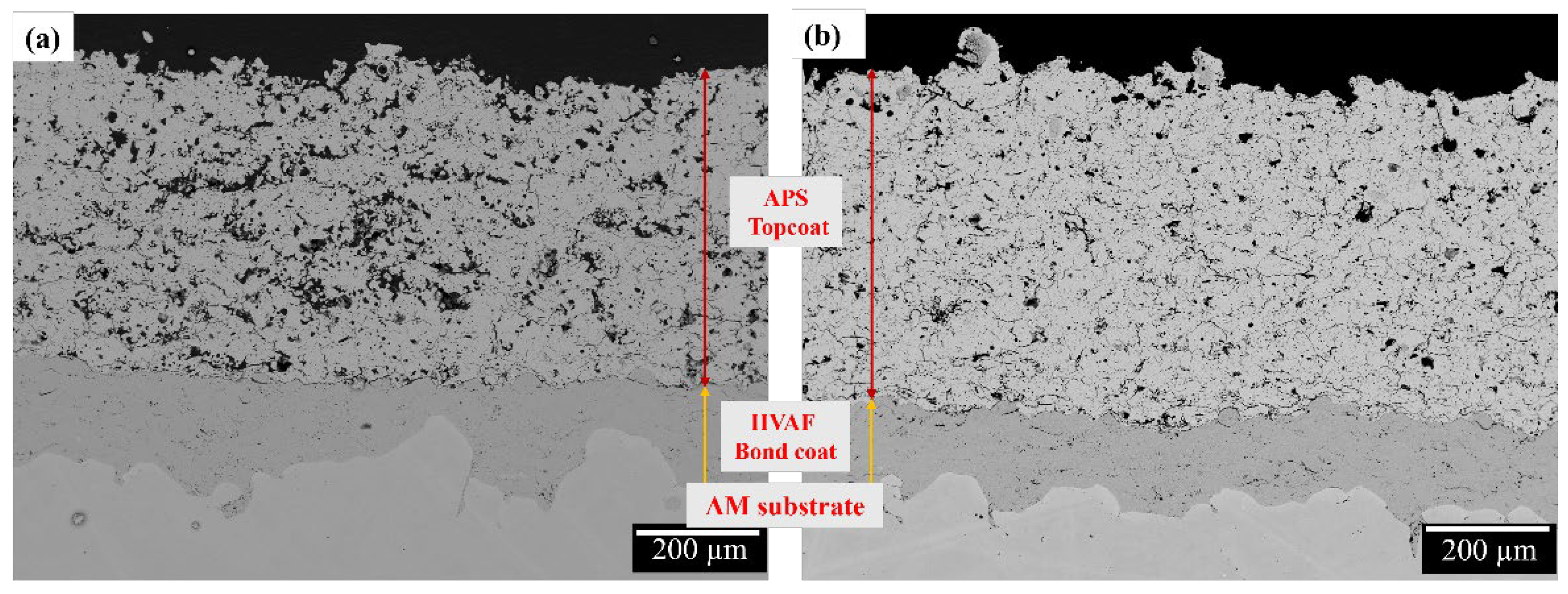 Coatings 14 00626 g008