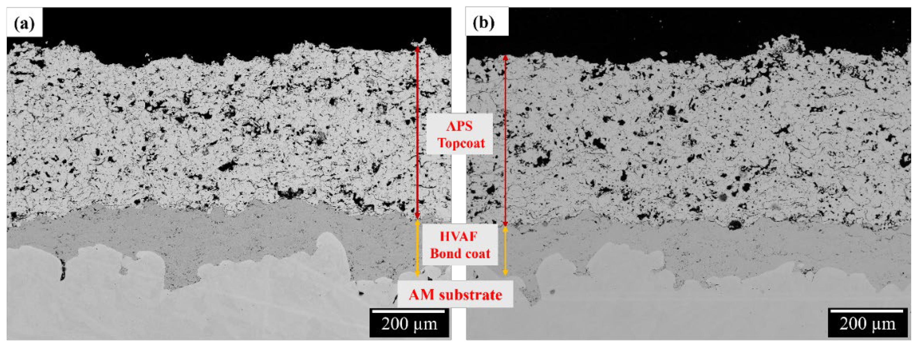 Coatings 14 00626 g009