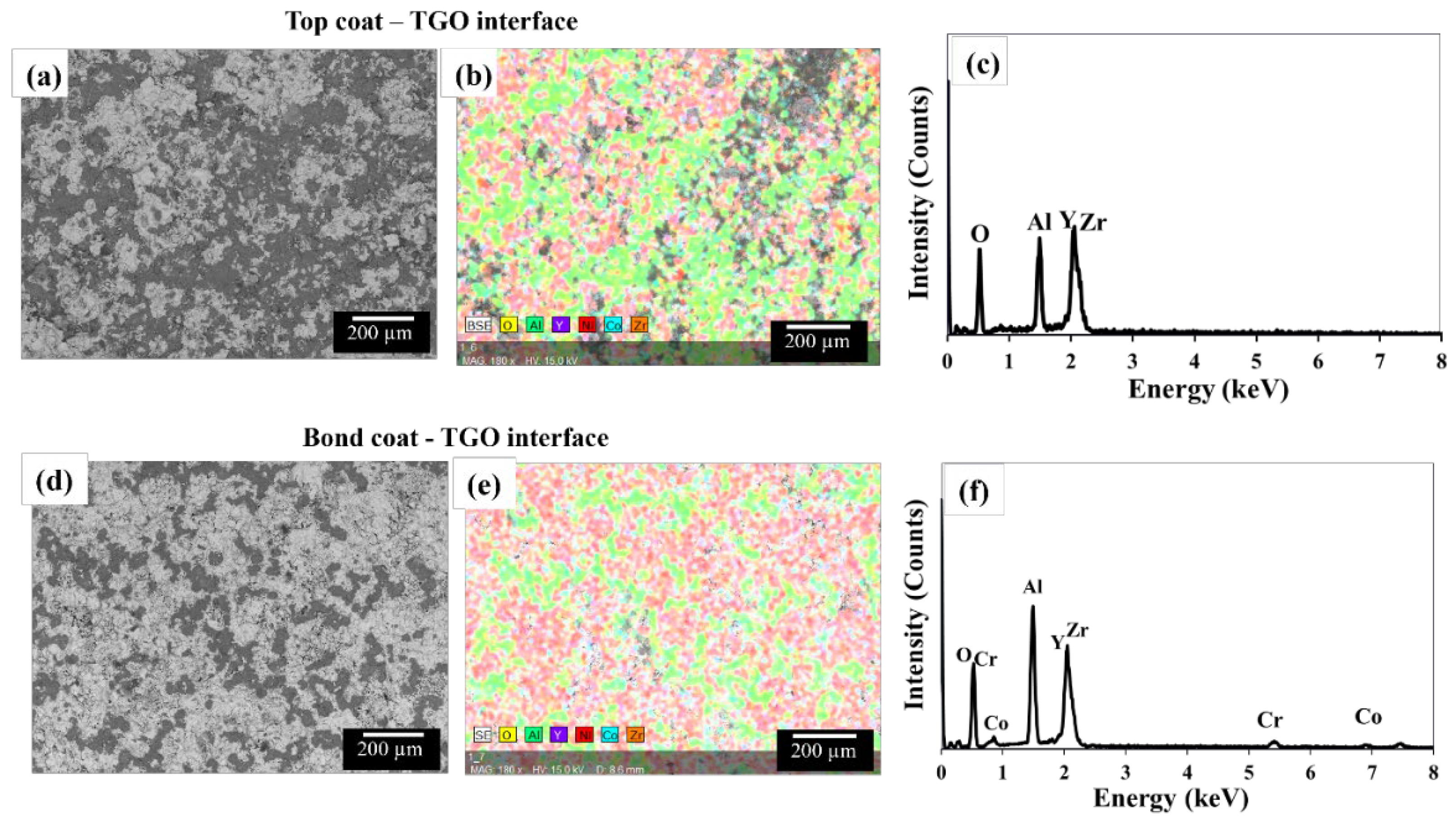 Coatings 14 00626 g013