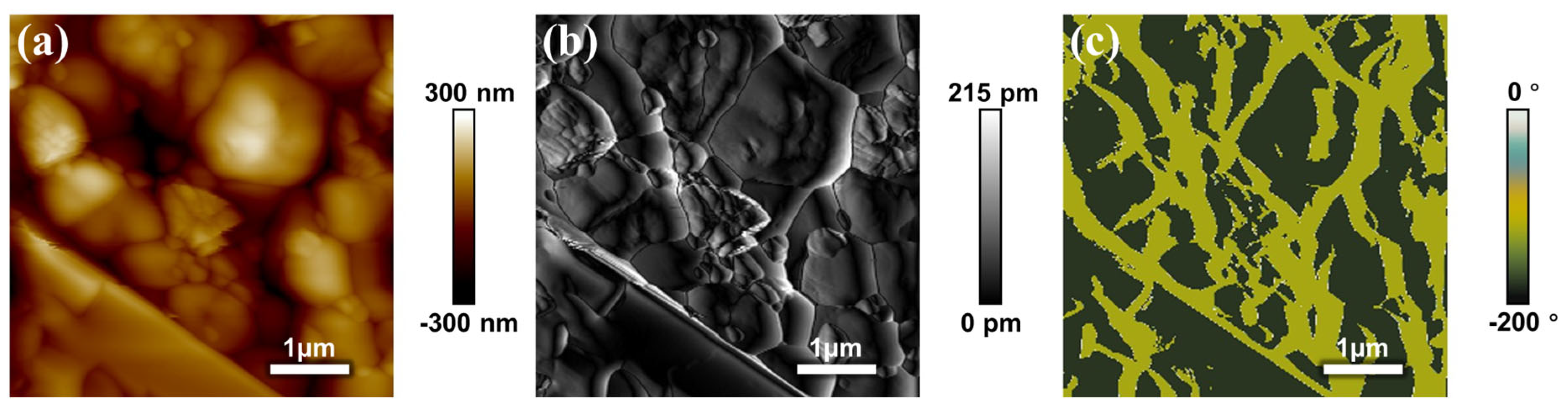 Coatings 15 01067 g009 Coatings 15 01067 g009