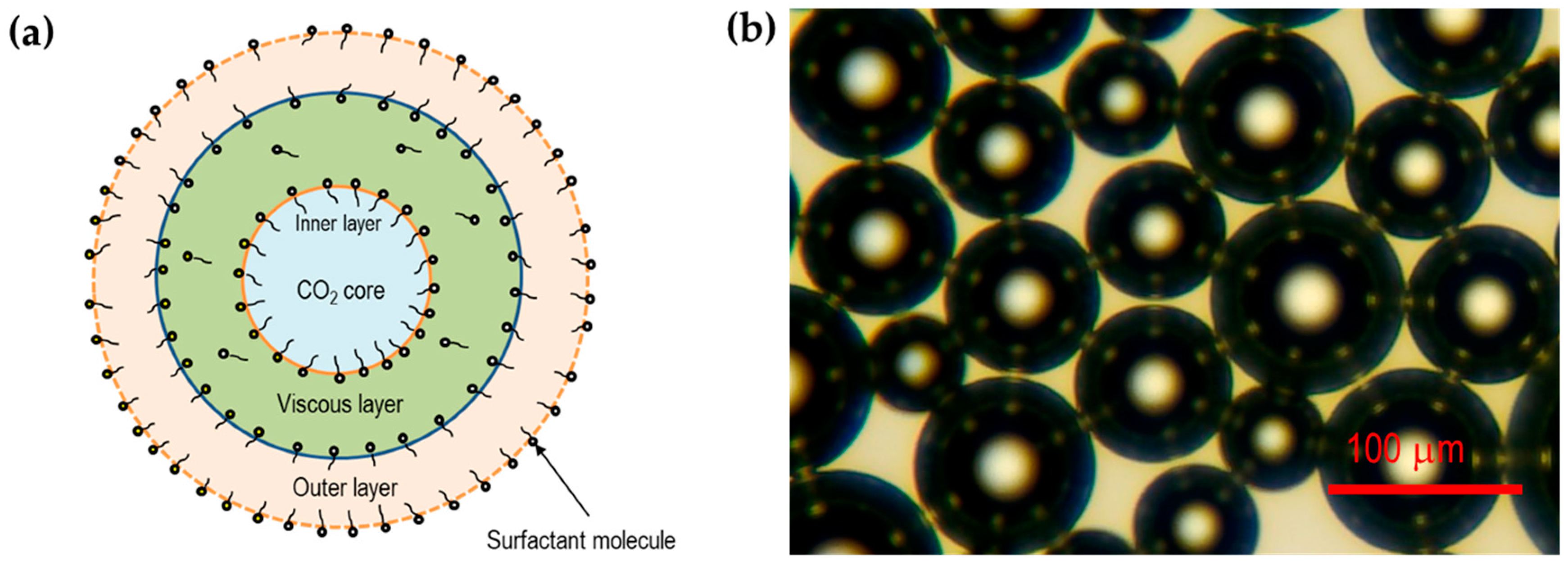 Colloids 04 00026 g001