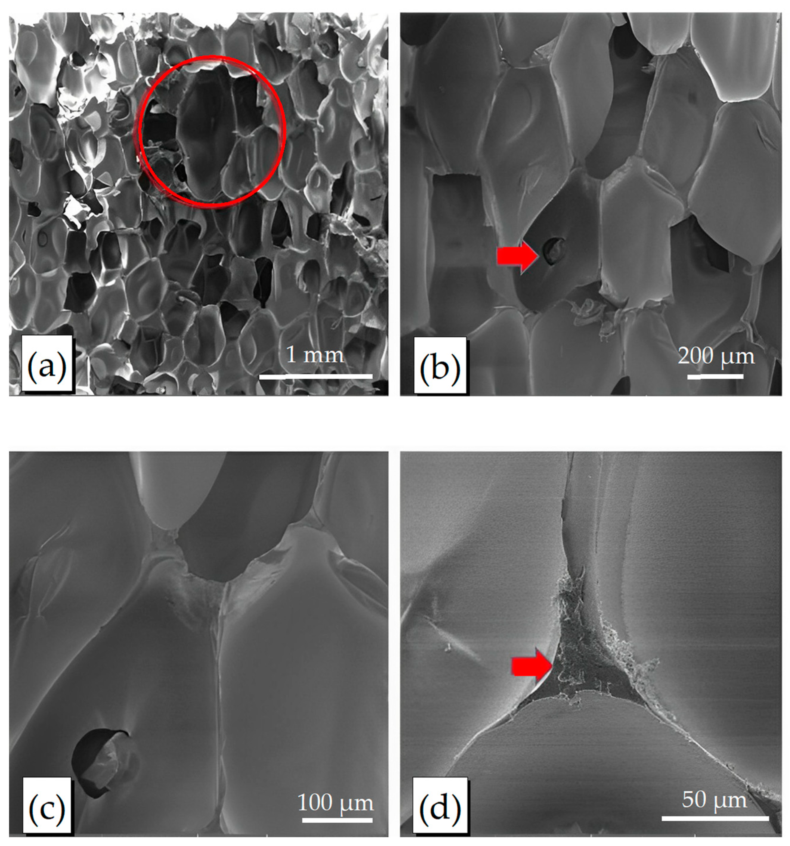 Compounds 04 00001 g004