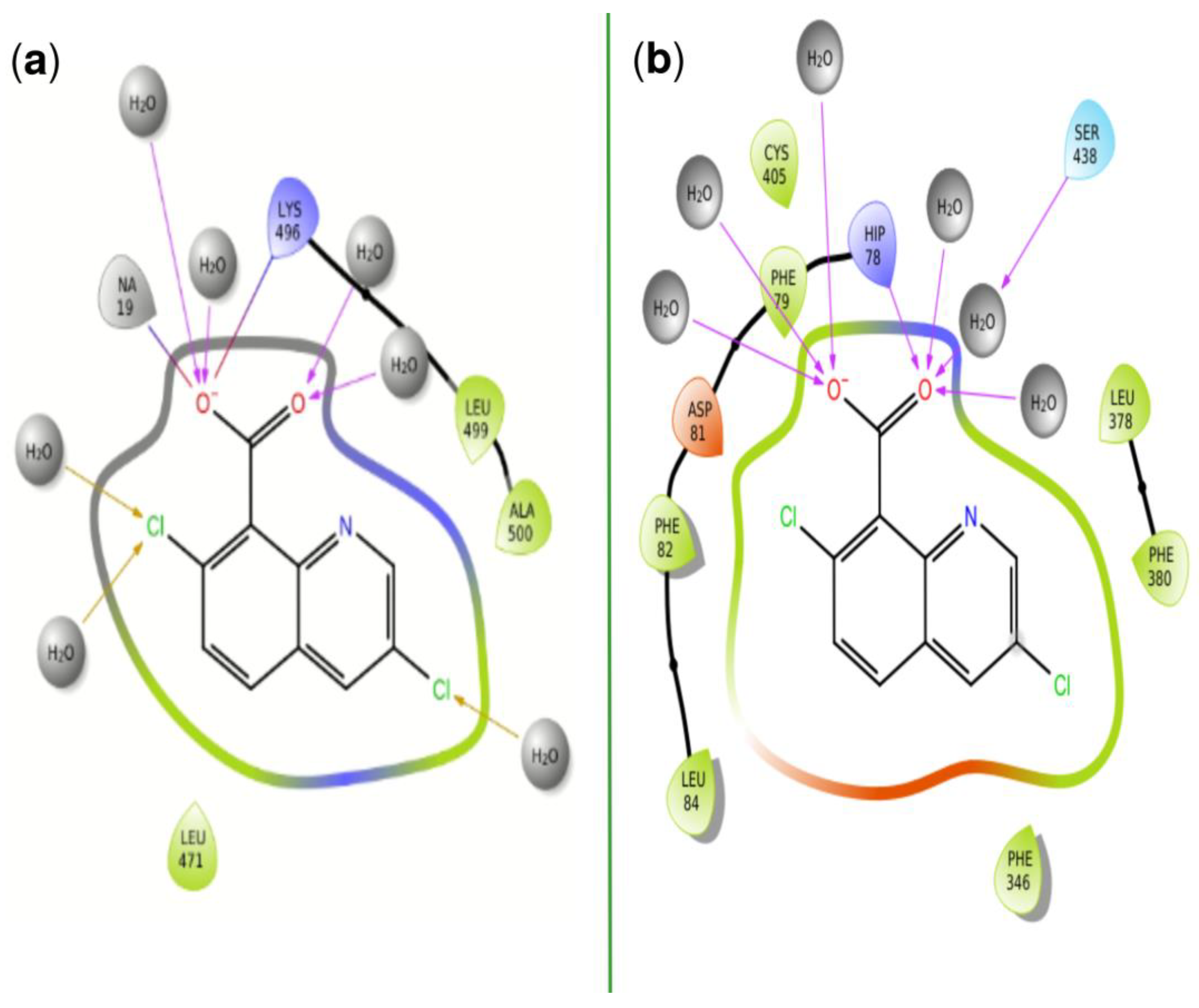 Computation 12 00094 g012