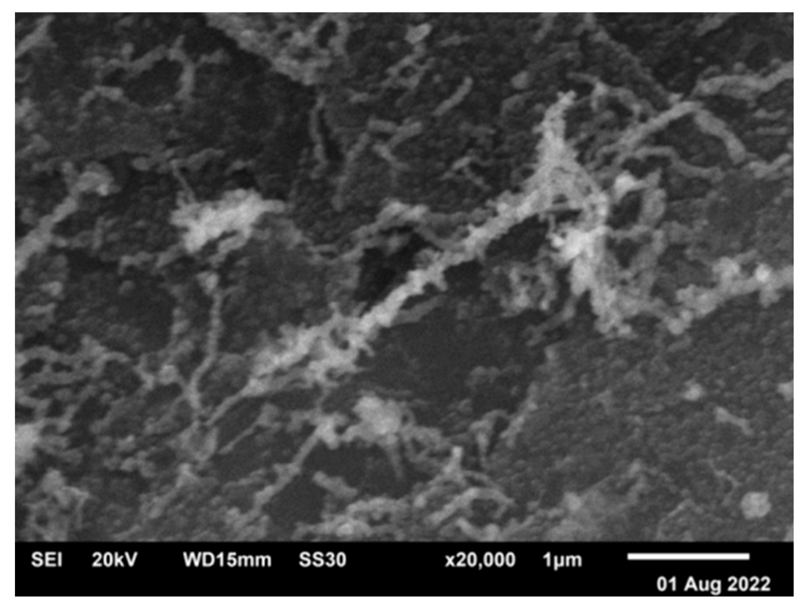 Condensedmatter 08 00092 g016
