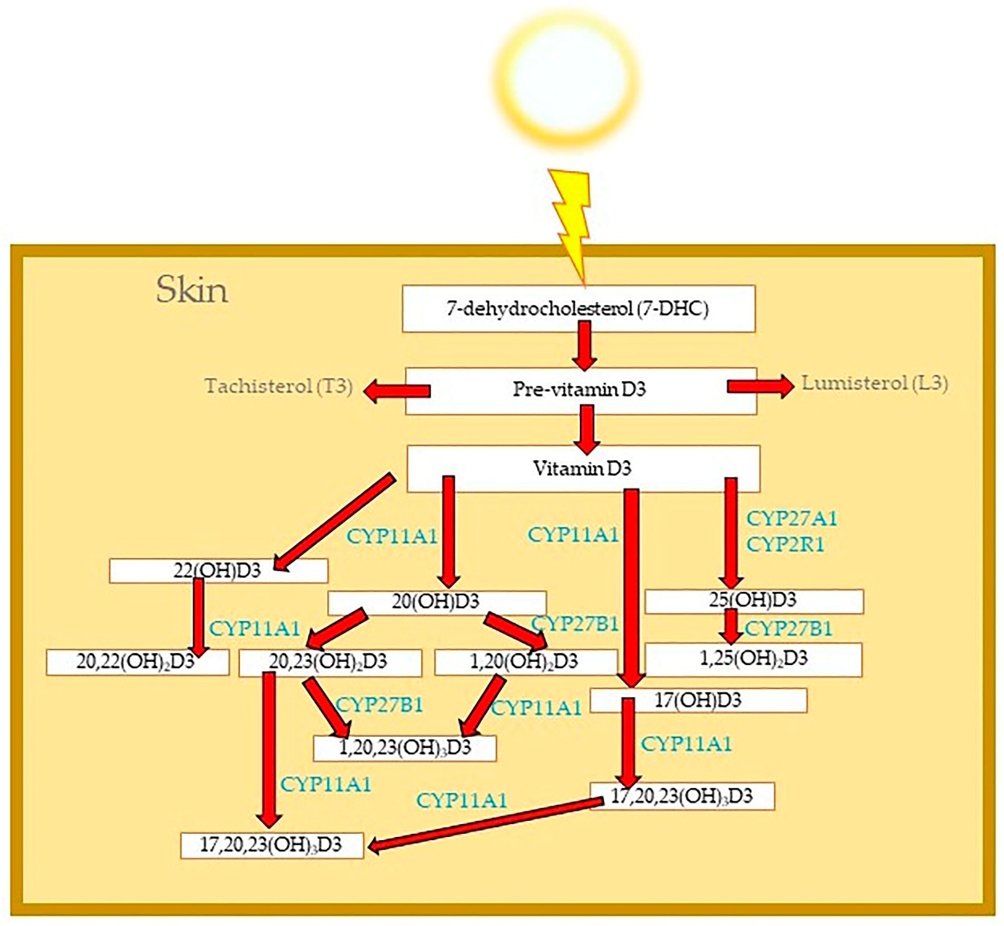 Cosmetics 11 00037 g001 Cosmetics 11 00037 g001