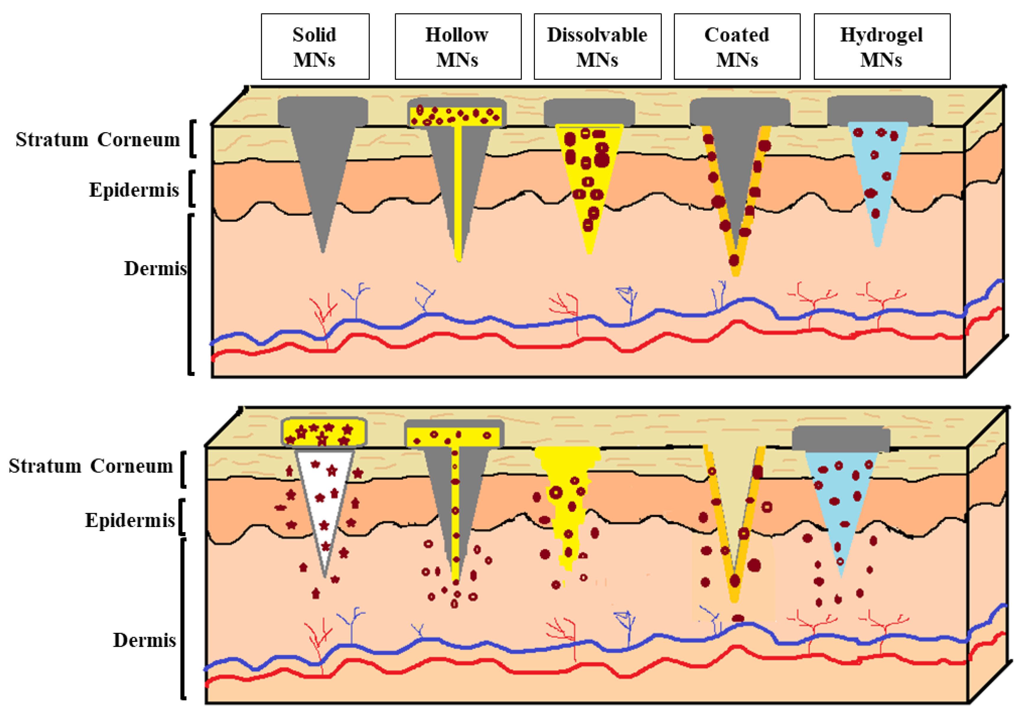 Cosmetics 11 00051 g003
