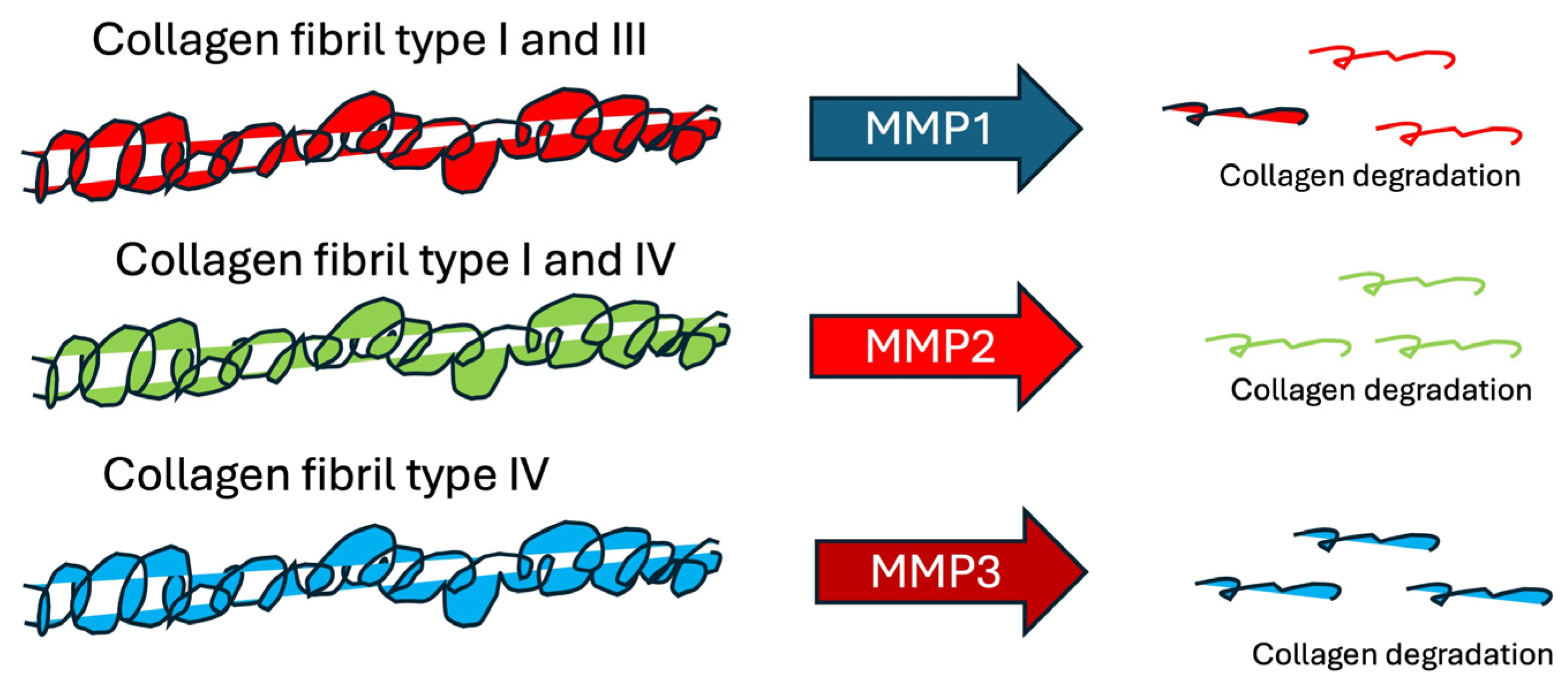 Cosmetics 11 00080 g002