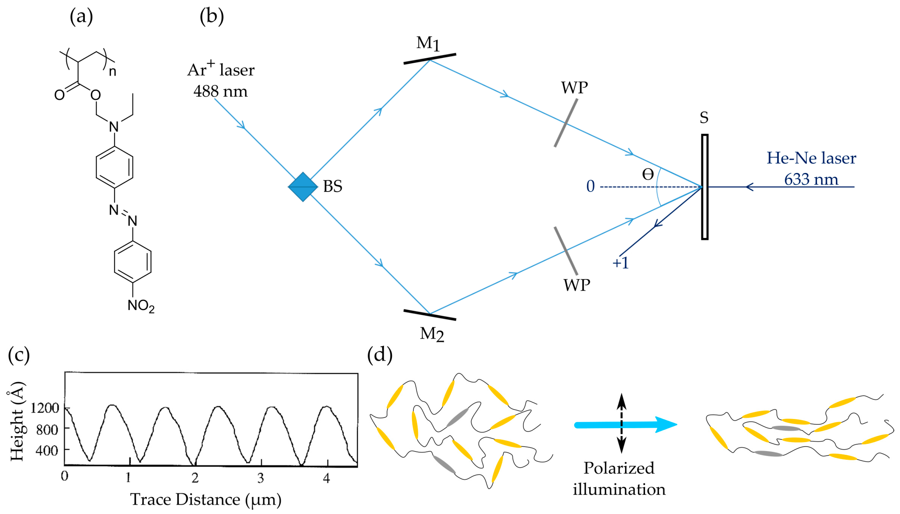 download a history of algebraic and differential topology