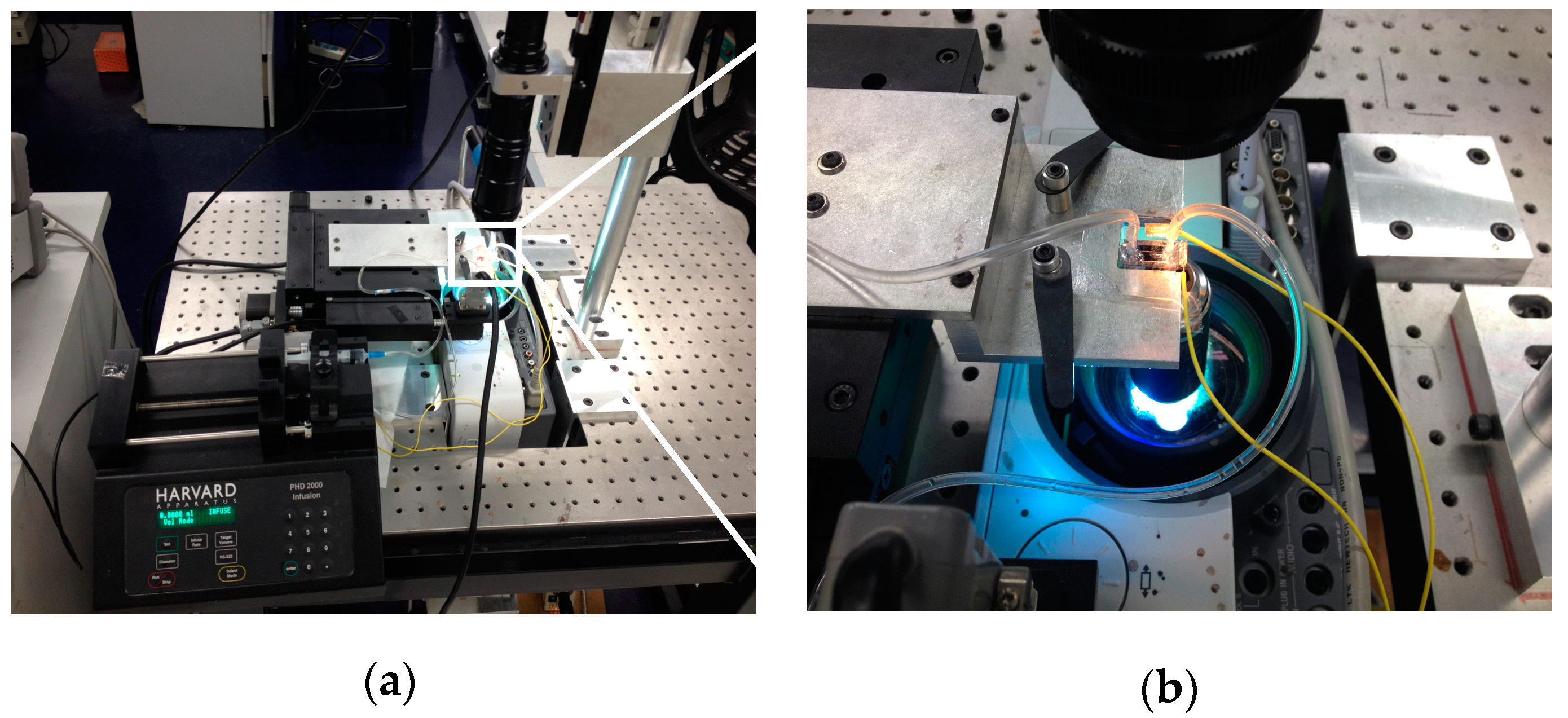 Crystals 08 00239 g002