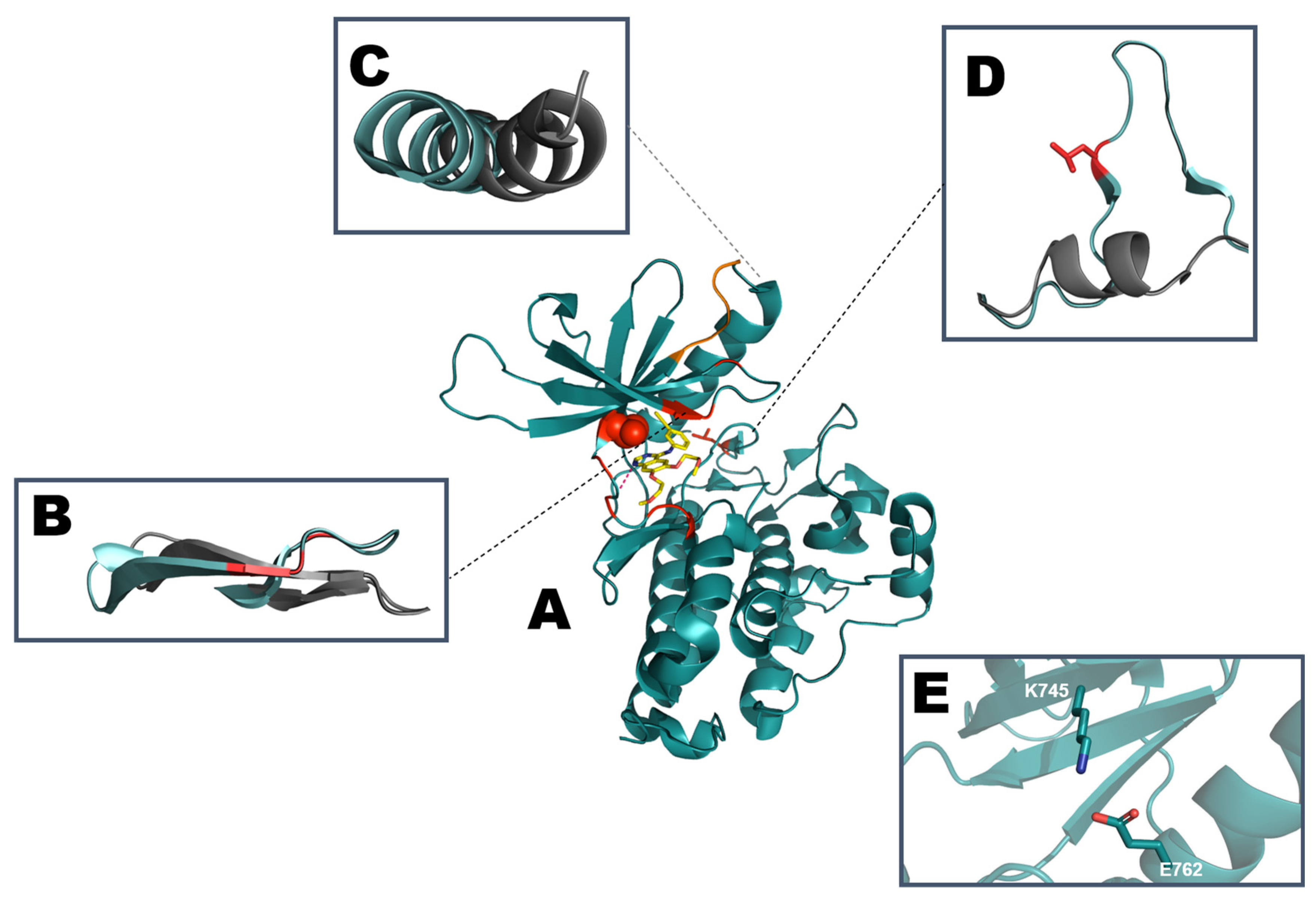 Crystals 10 00725 g003