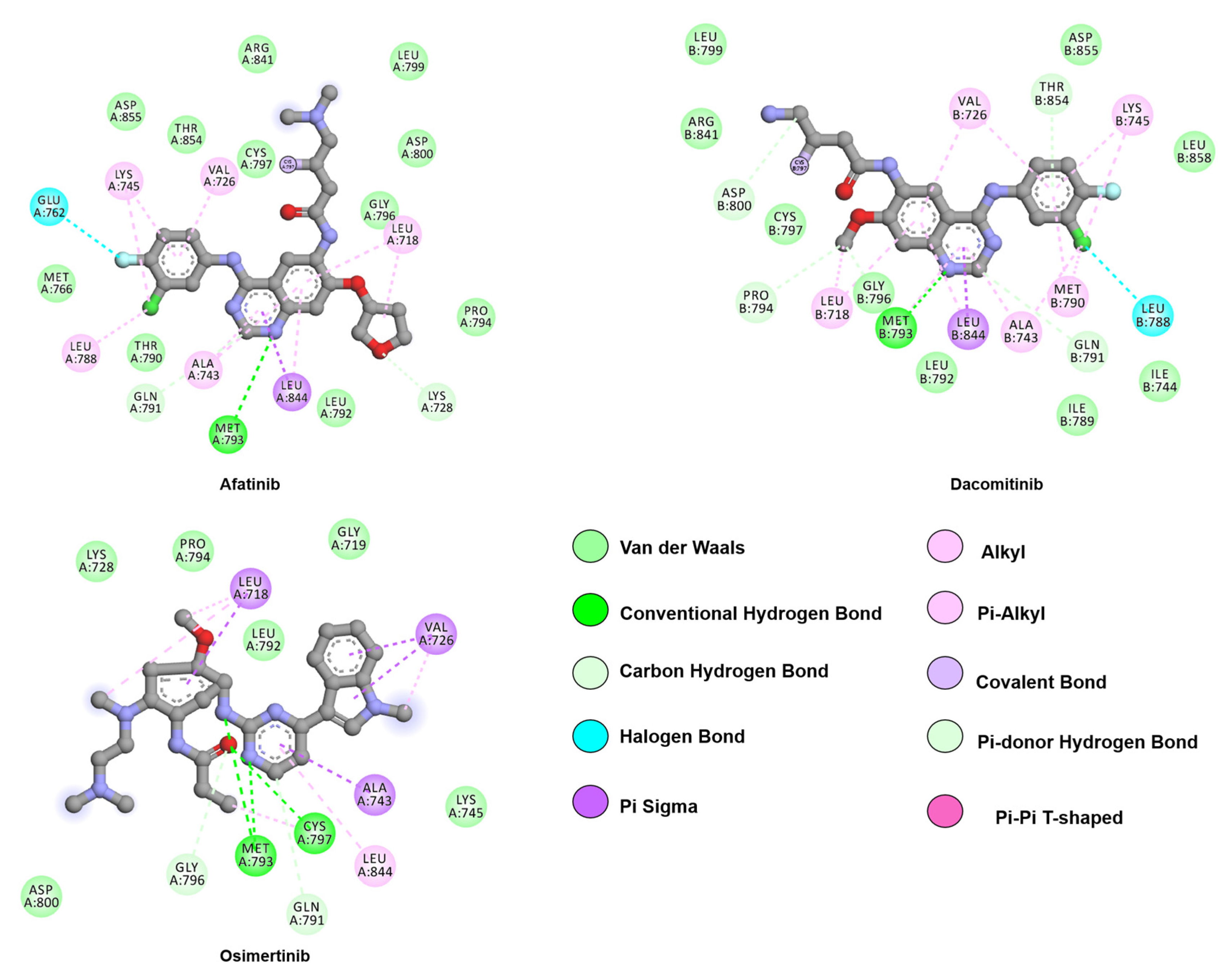 Crystals 10 00725 g005