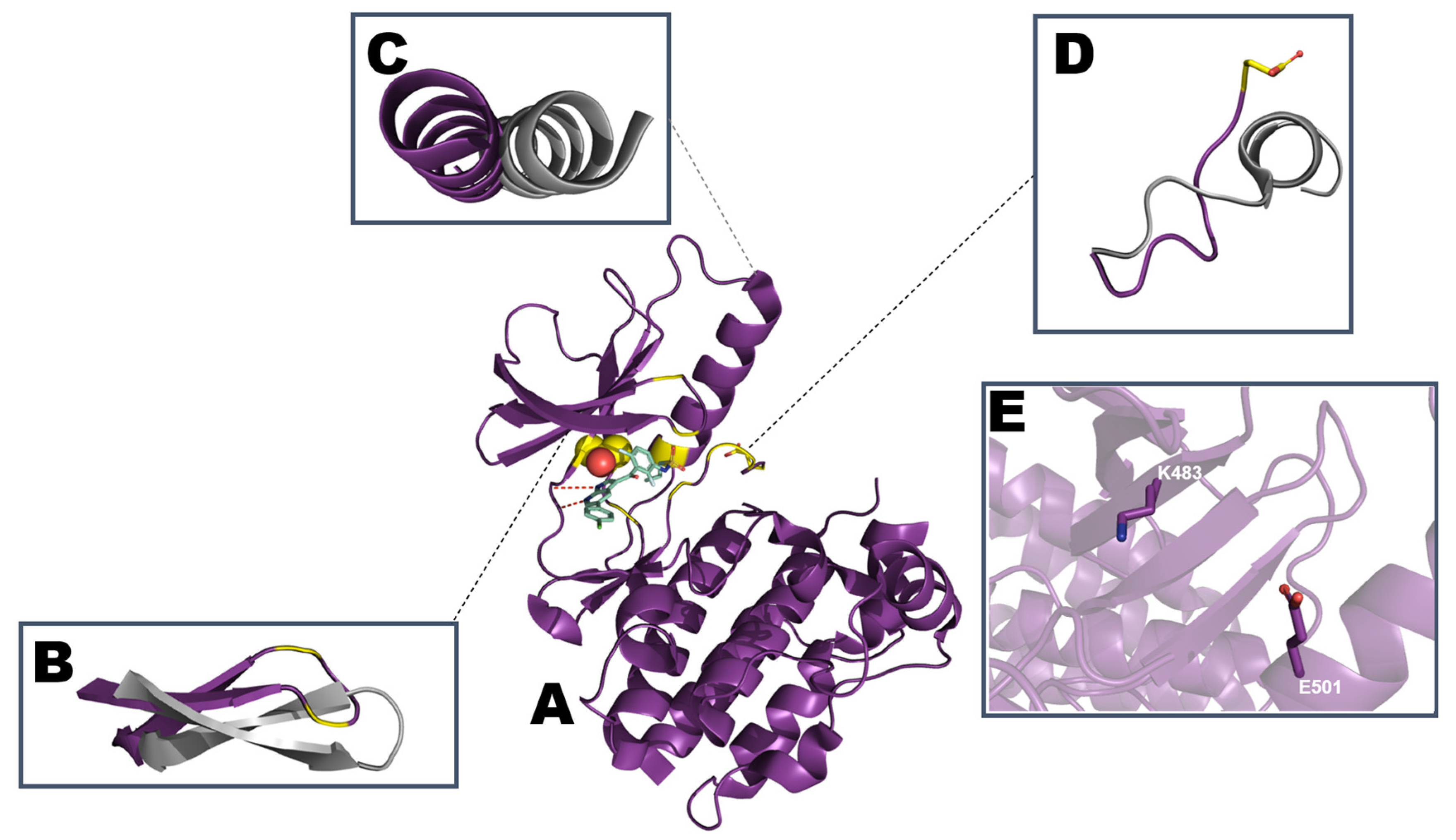 Crystals 10 00725 g009