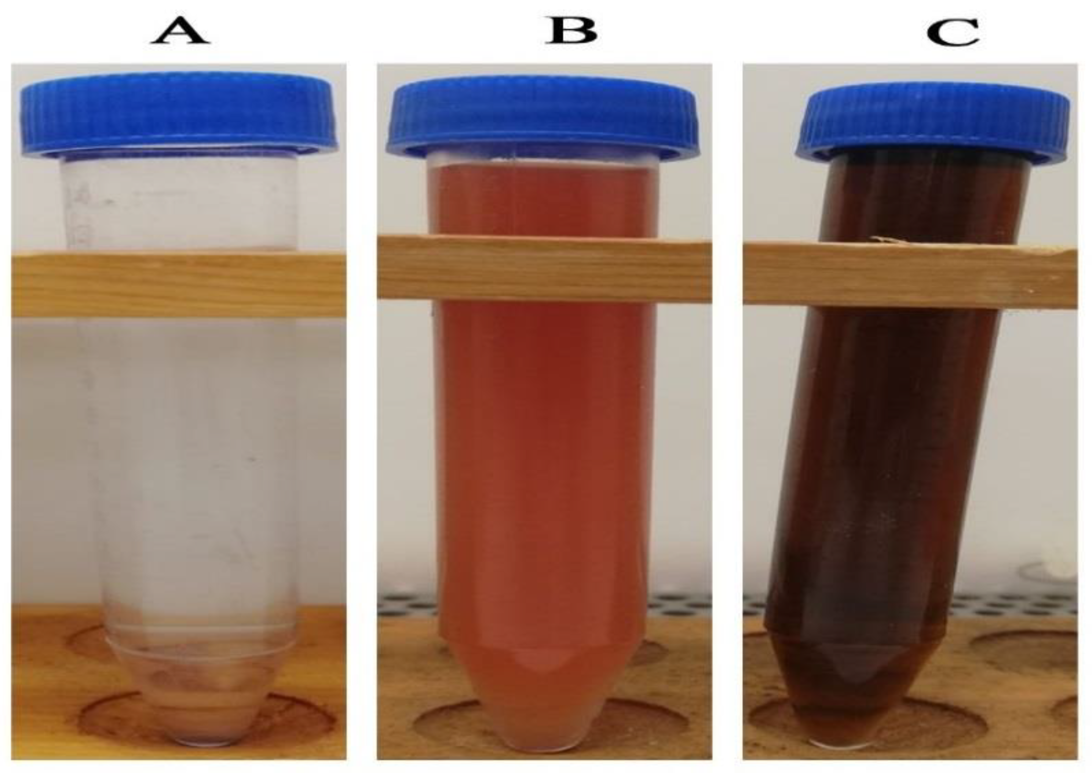 Crystals 12 00816 g001