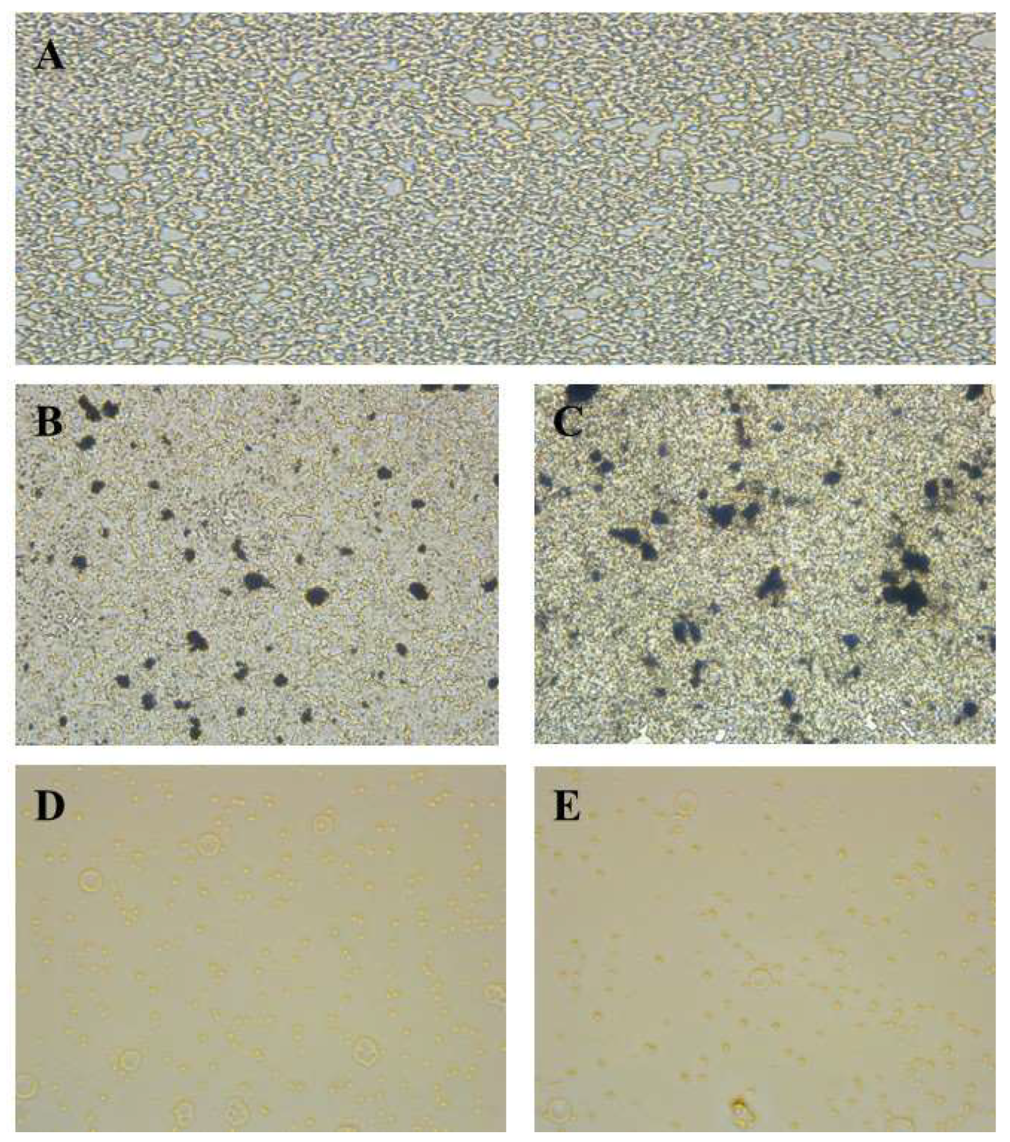 Crystals 12 01035 g007