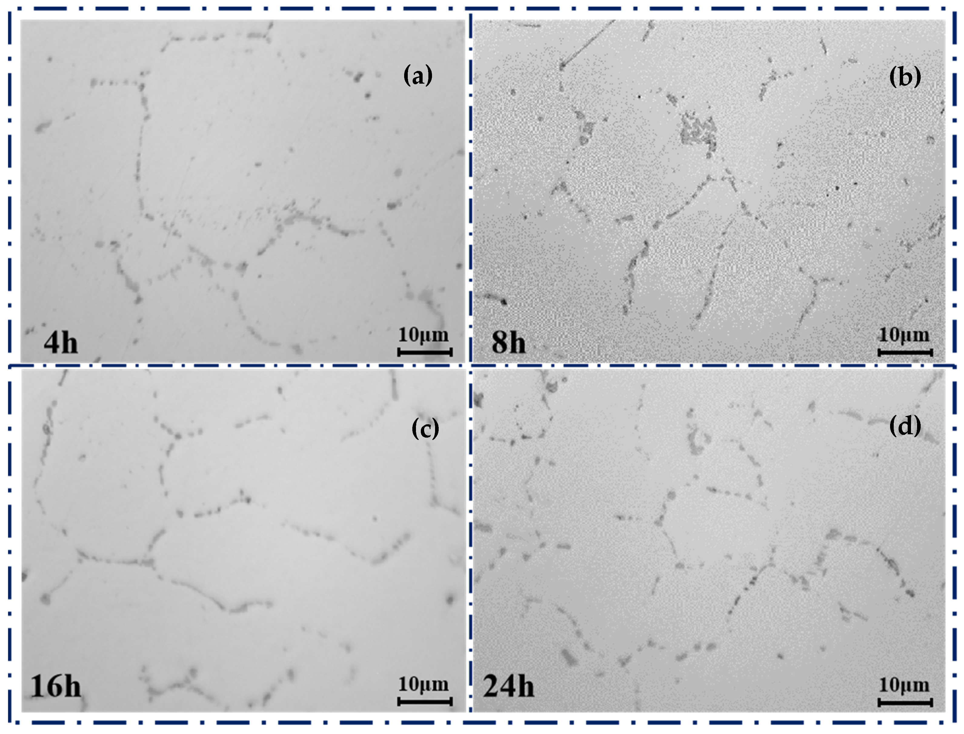 Crystals 13 00841 g004