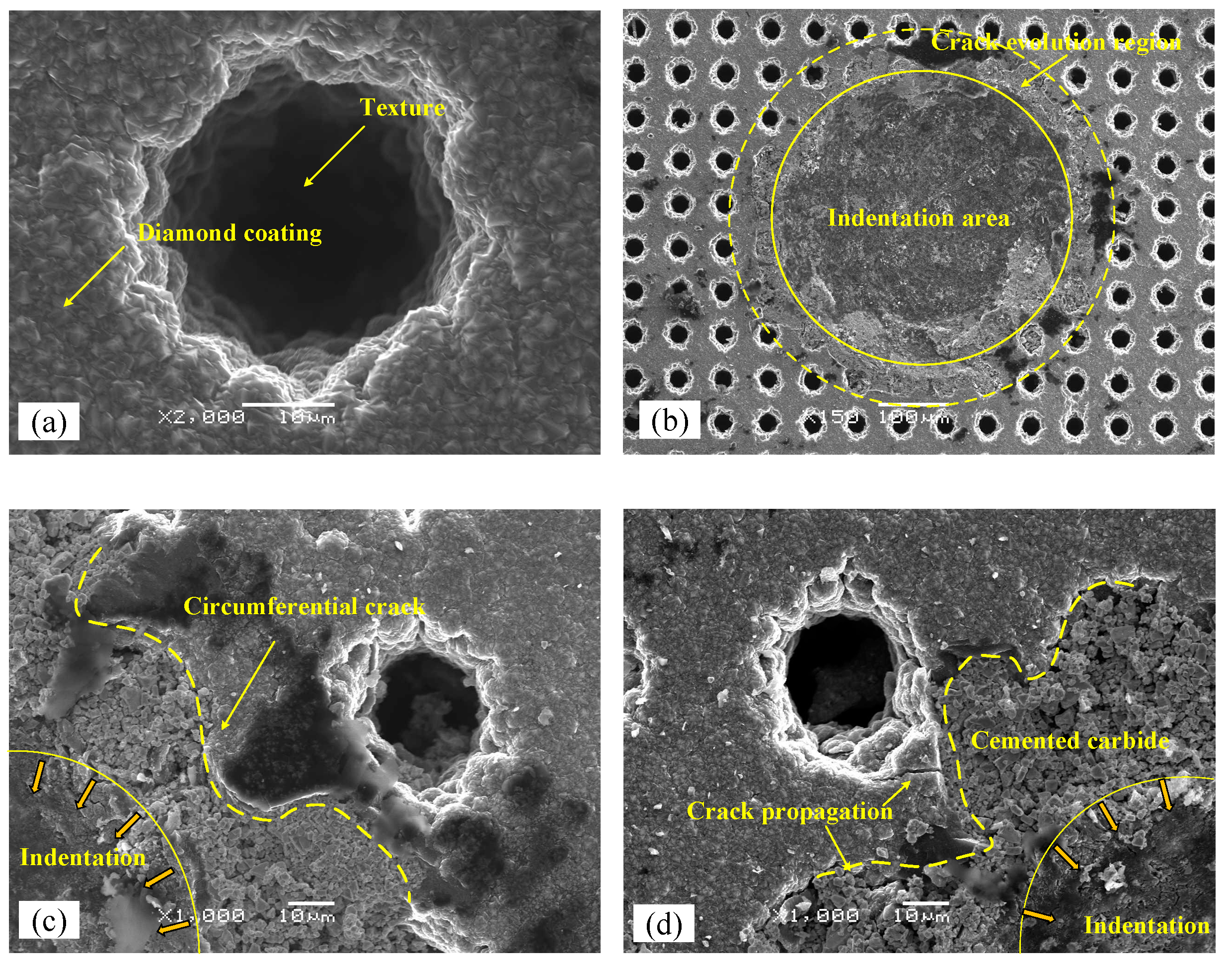 Crystals 13 01034 g007