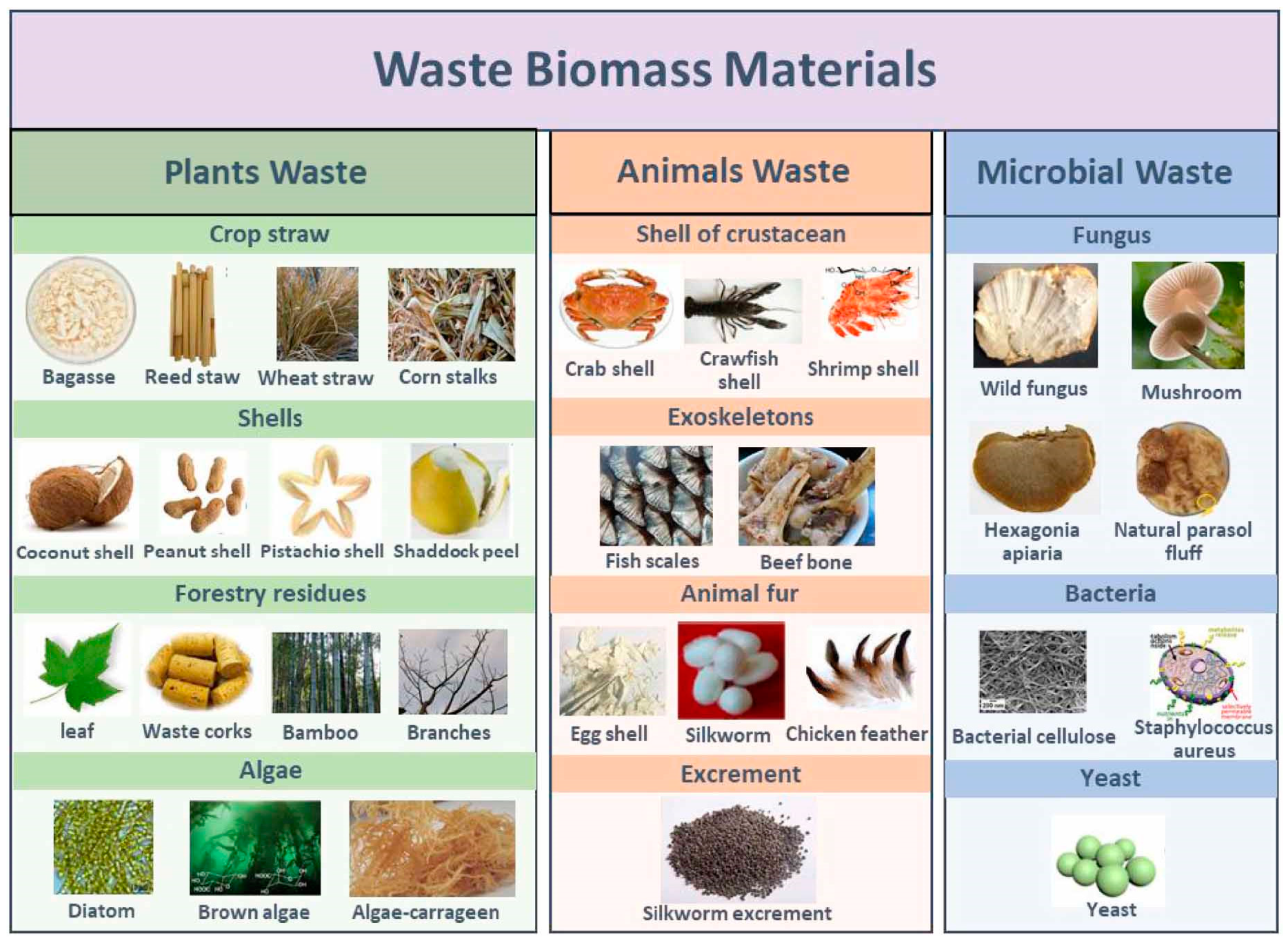 Crystals 13 01118 g003