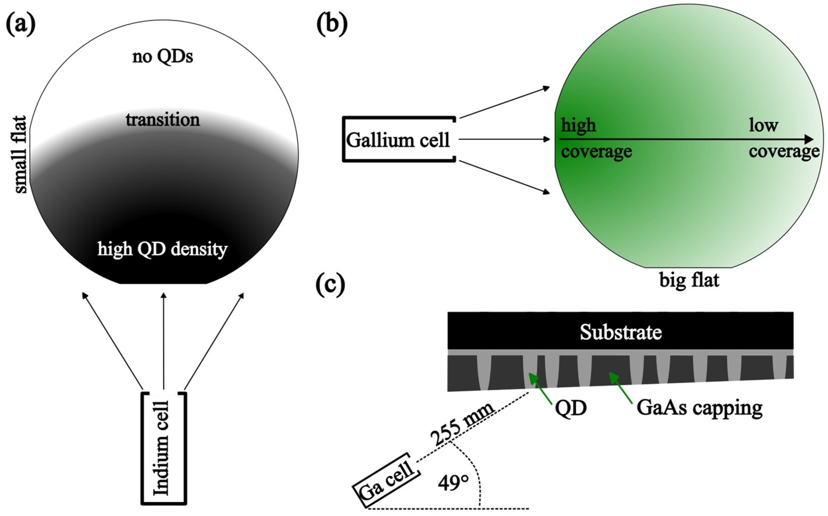 Crystals 13 01657 g001