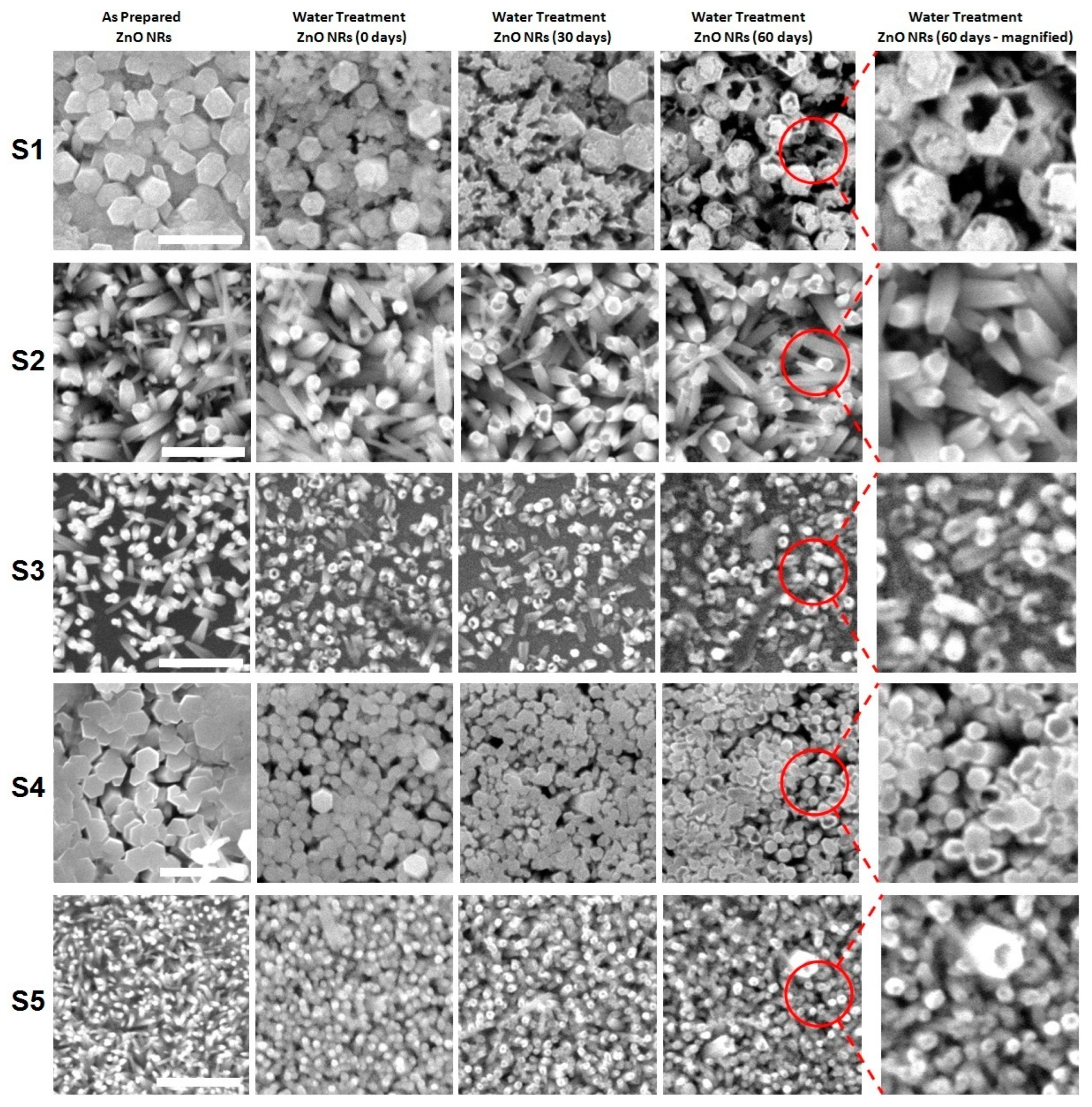 Crystals 14 00393 g005