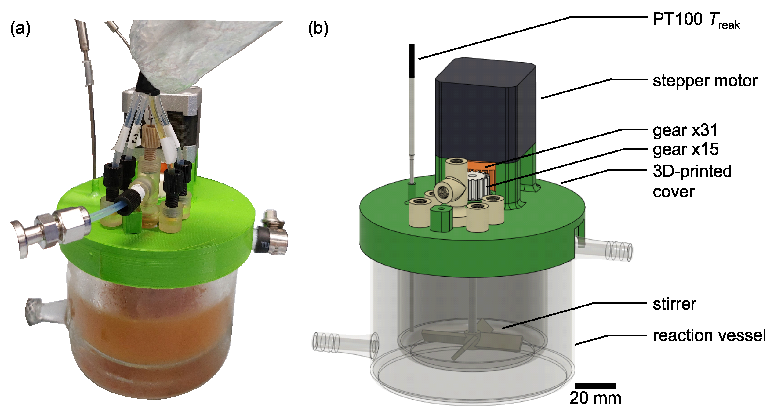 Crystals 14 00398 g003