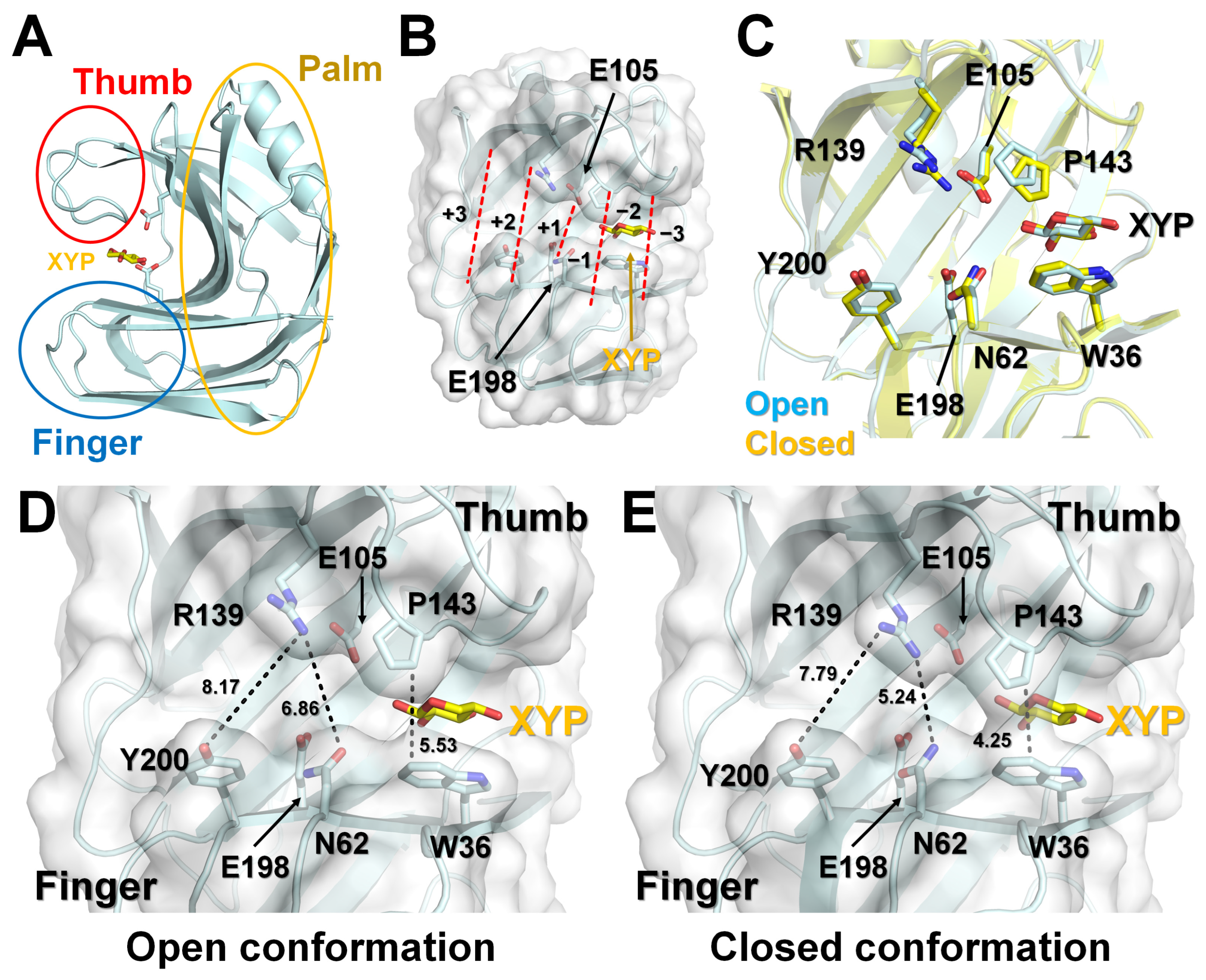 Crystals 14 00402 g001