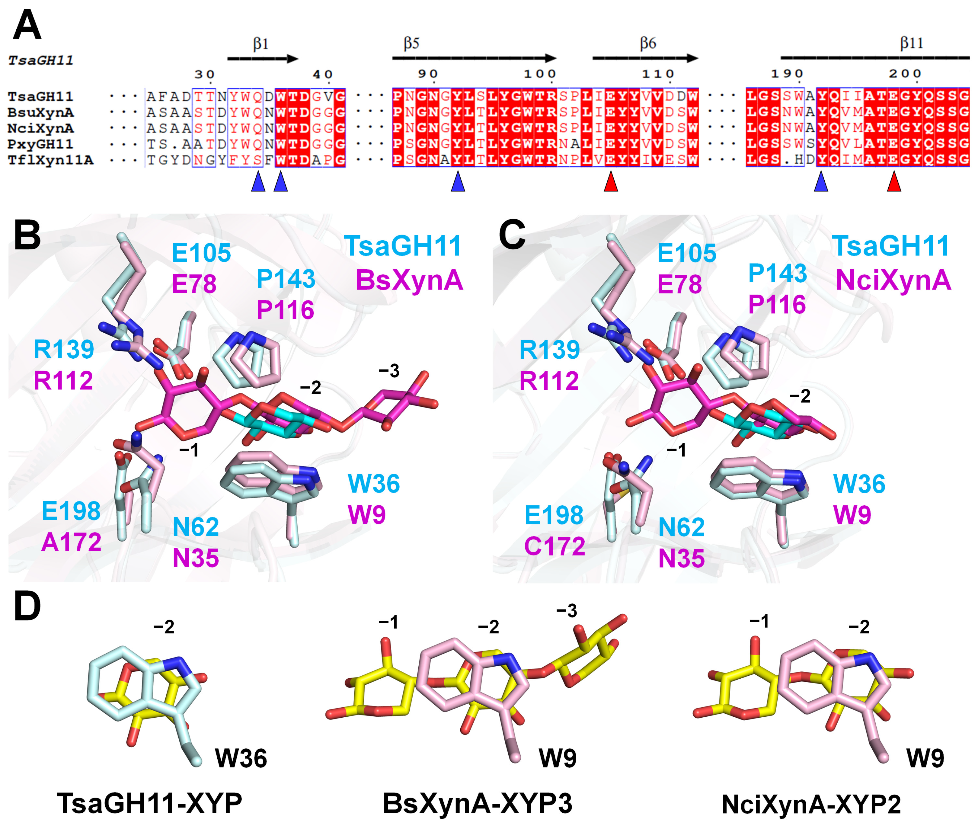 Crystals 14 00402 g004