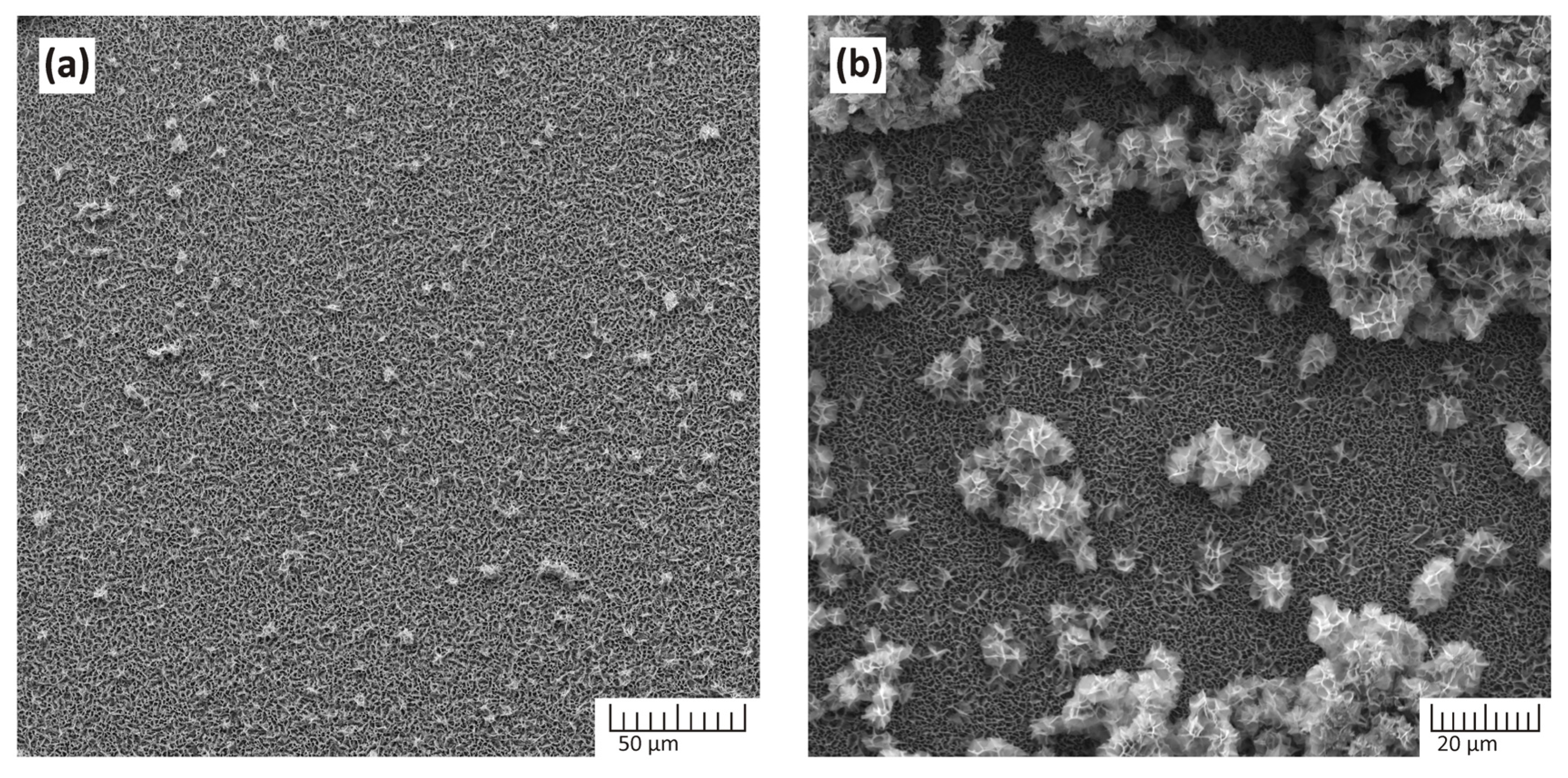 Crystals 14 00423 g002a