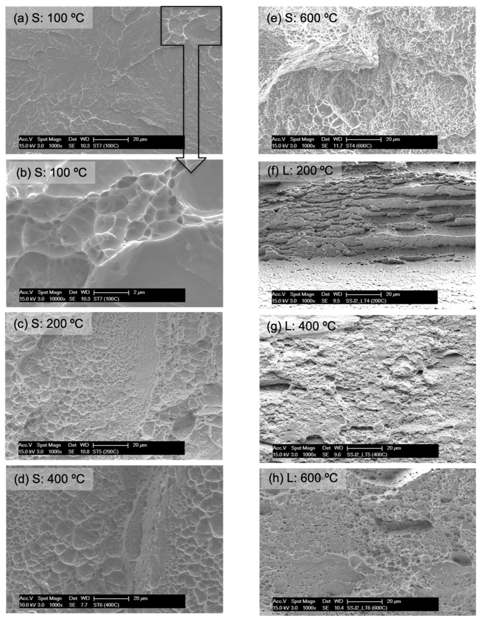Crystals 14 00439 g007