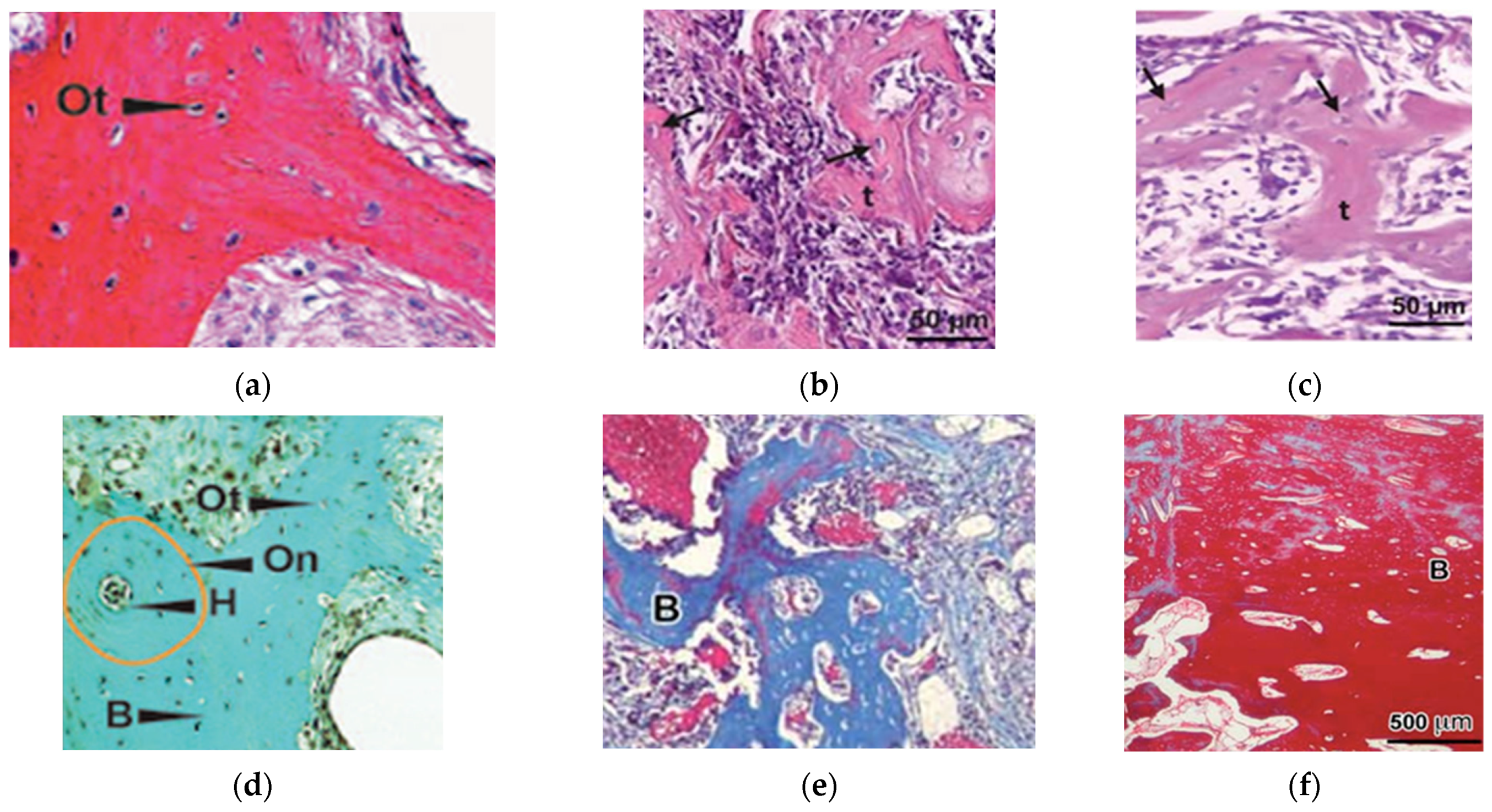 Crystals 14 00448 g002