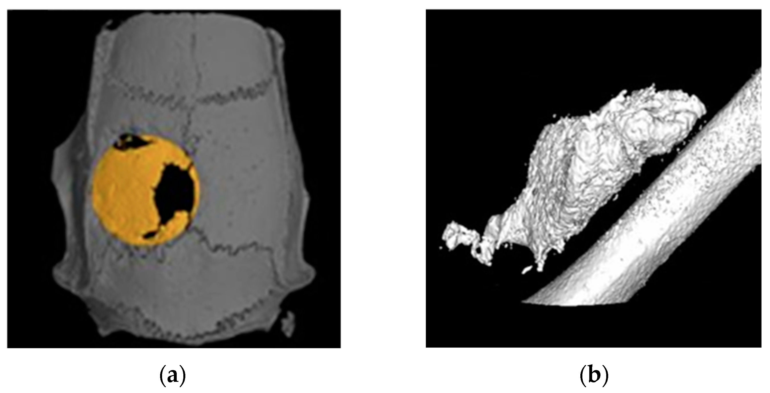Crystals 14 00448 g003
