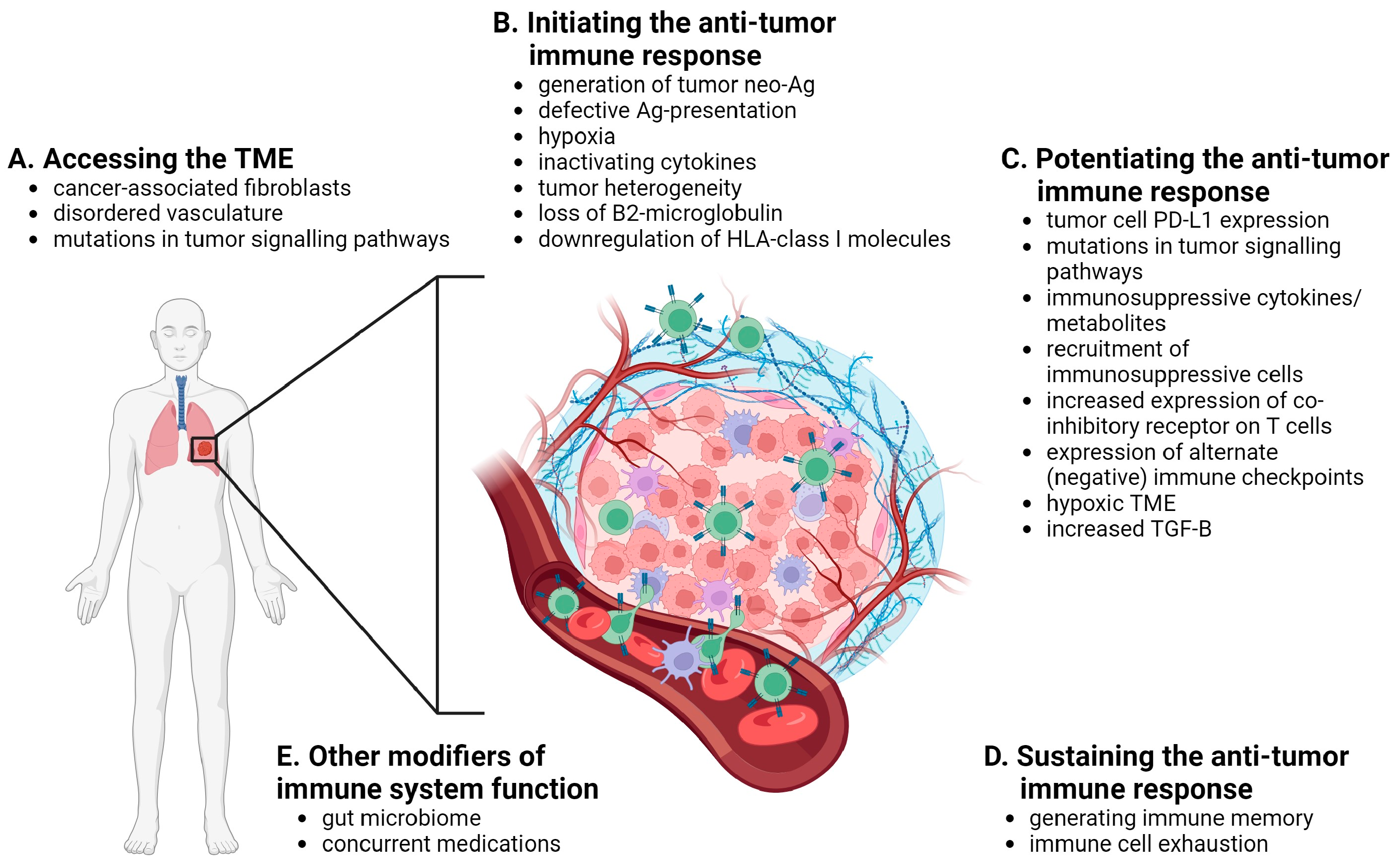 Curroncol 31 00001 g002