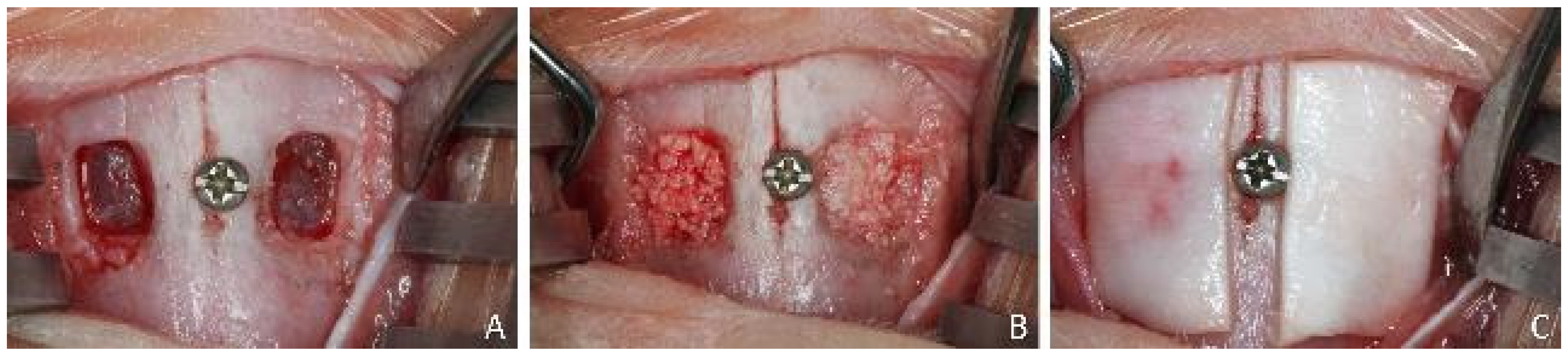 Dentistry 09 00061 g001