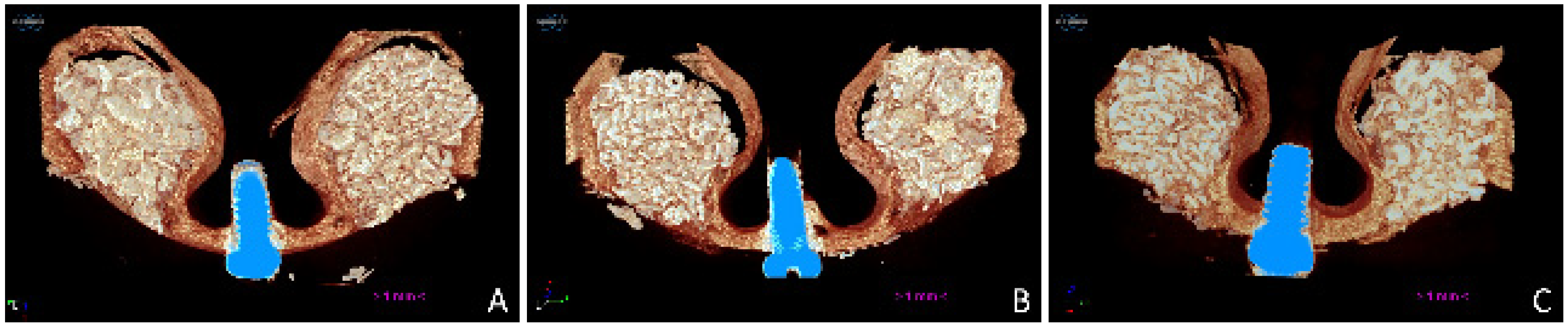 Dentistry 09 00061 g003