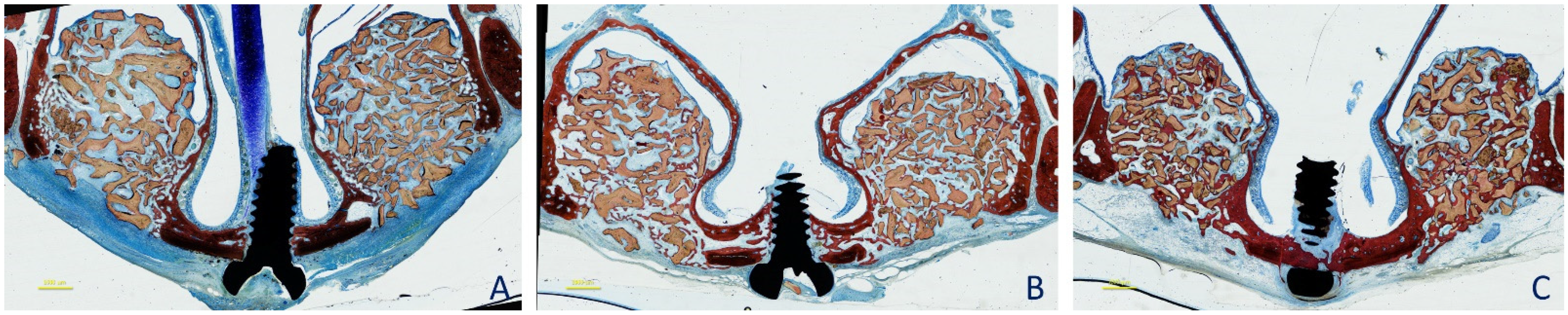 Dentistry 09 00061 g004
