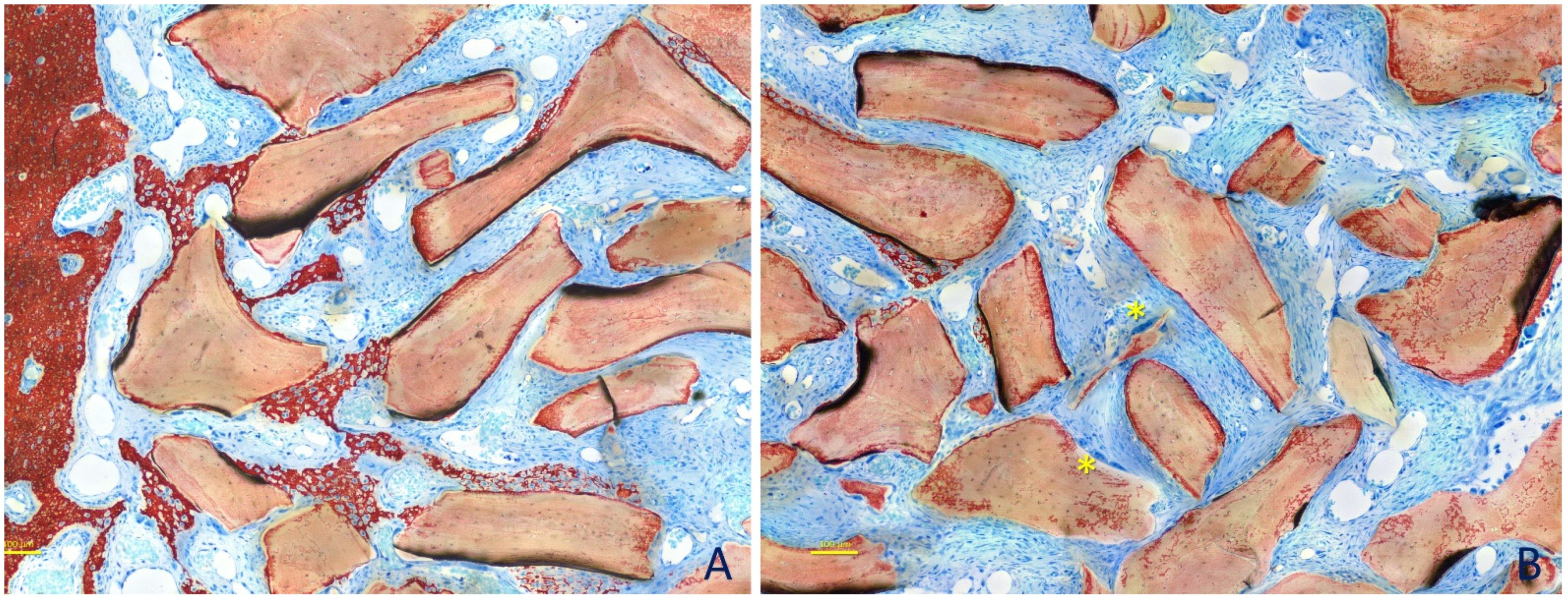 Dentistry 09 00061 g005