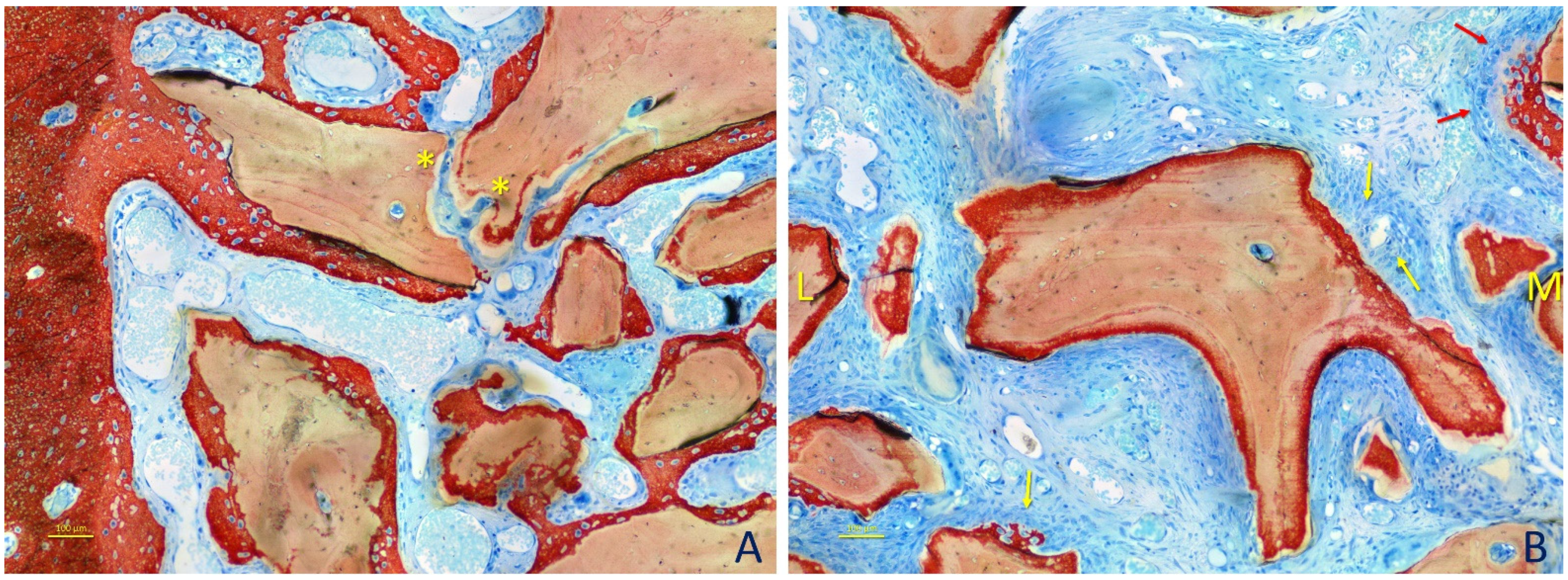 Dentistry 09 00061 g006